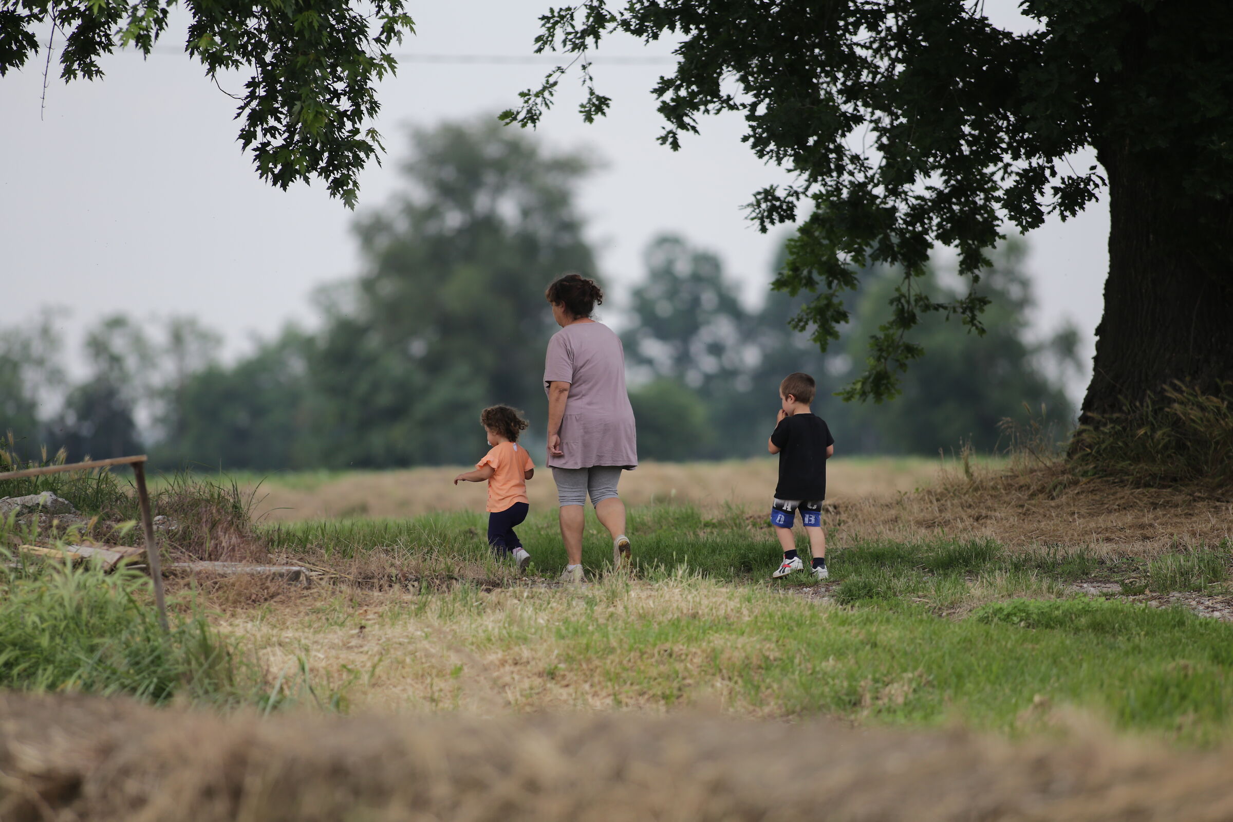 Walking in the countryside