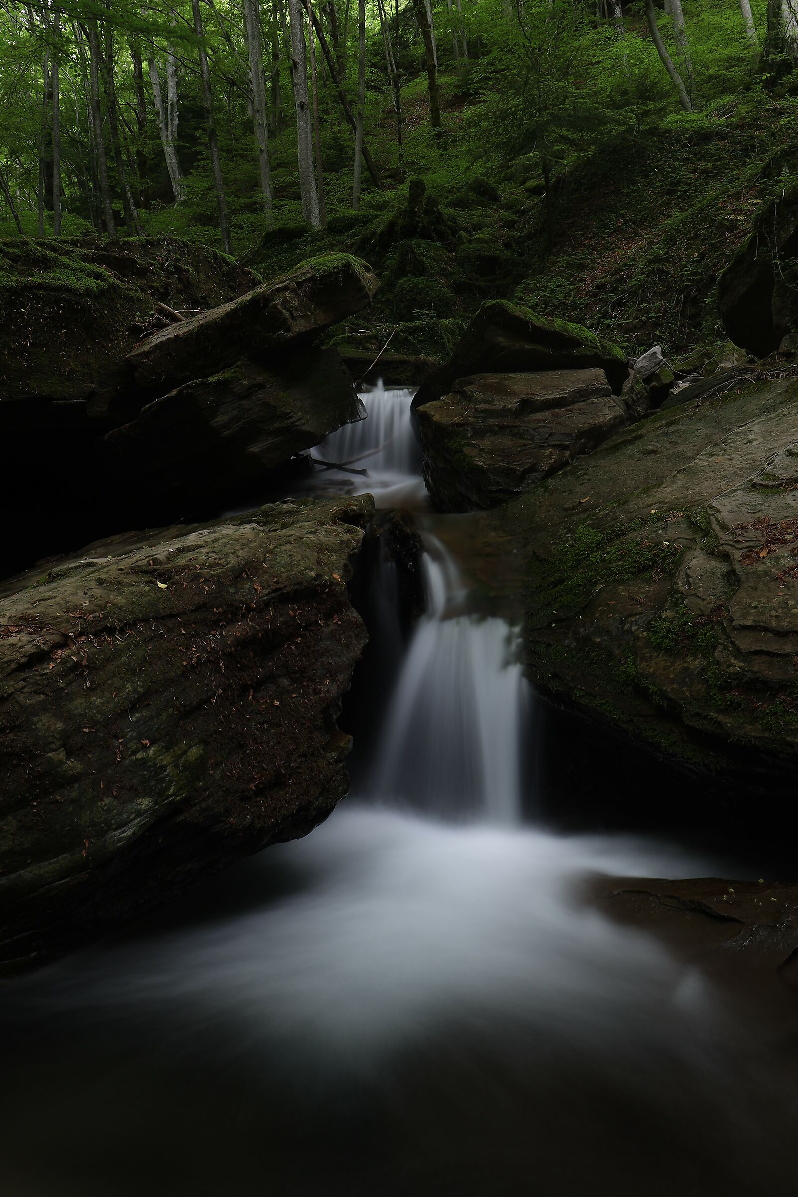 .. Archian stealed... 4