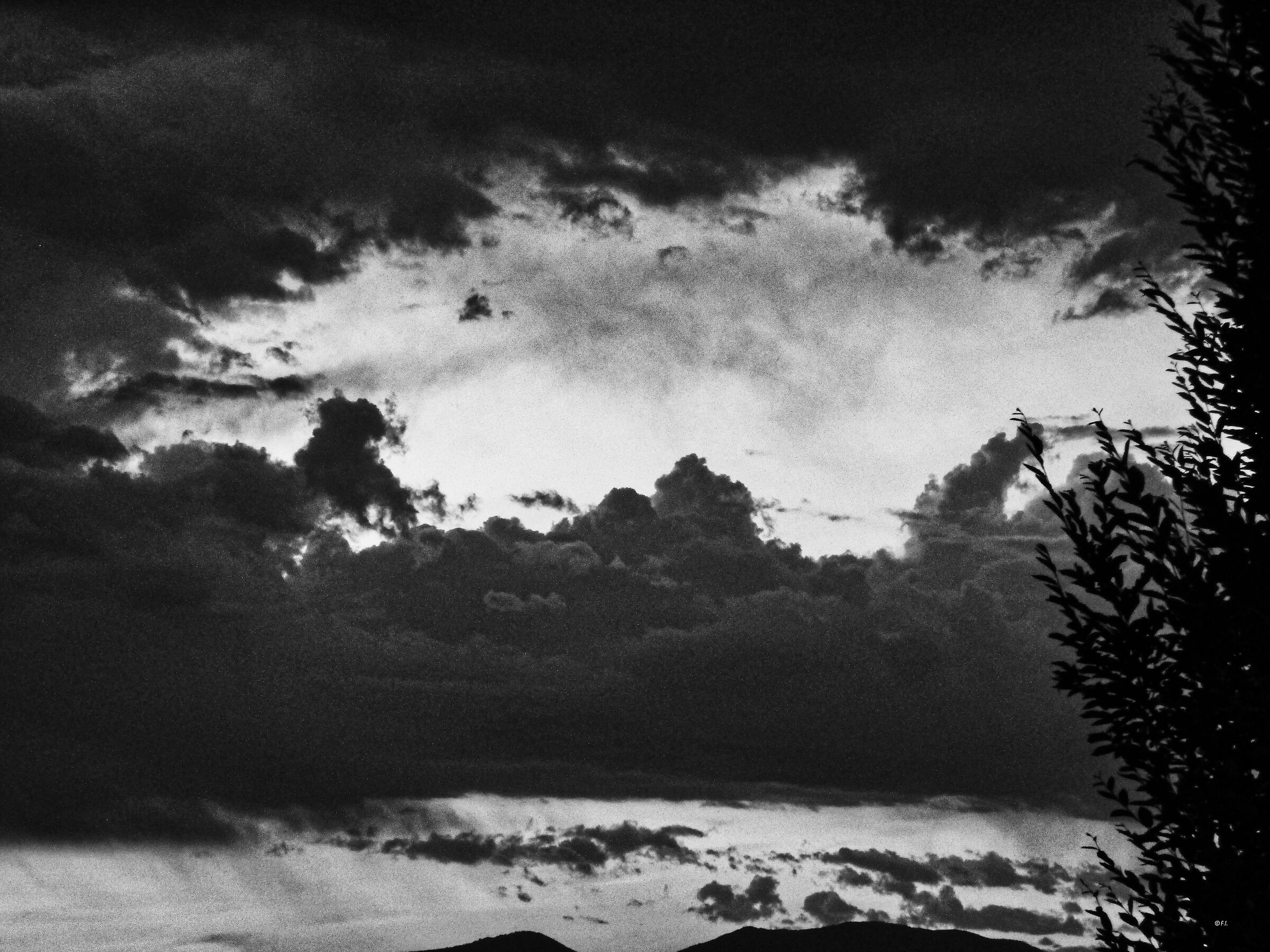 Segnali dalla natura