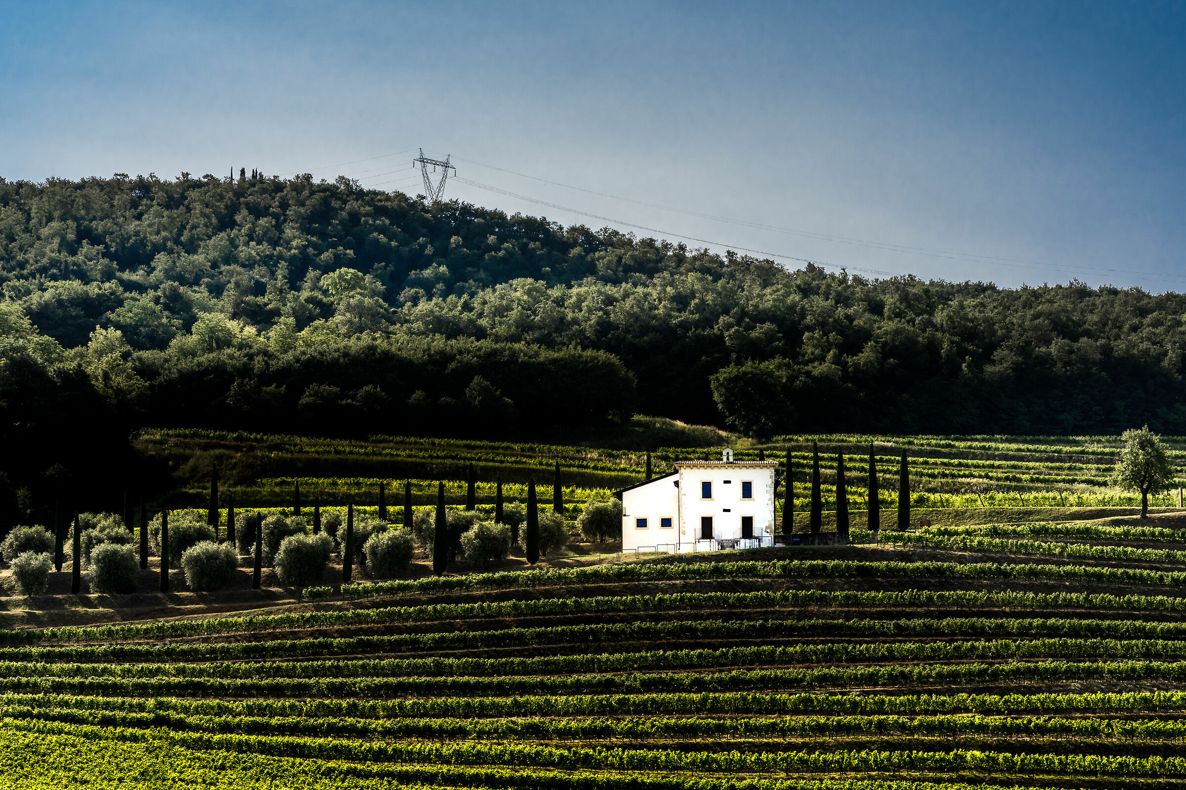 Valpolicella - Novare