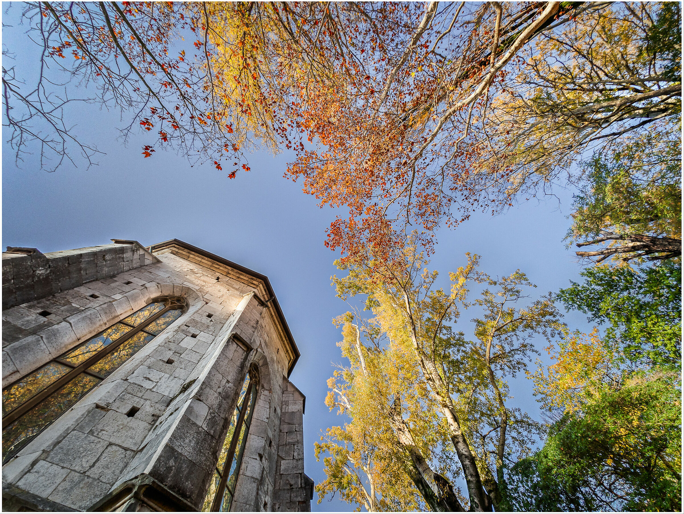 Il mondo è una mia rappresentazinone II