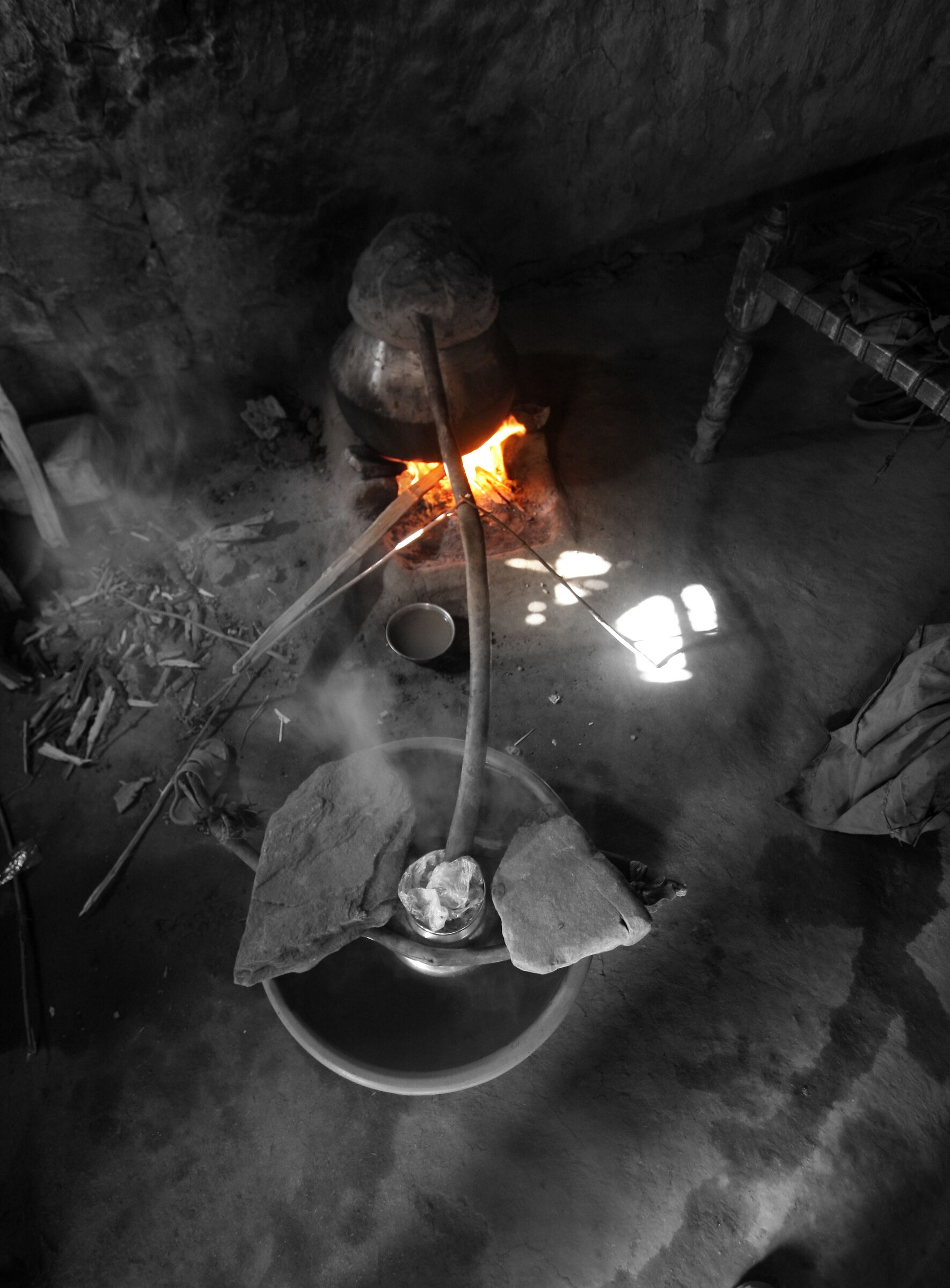 Cosa stanno facendo?