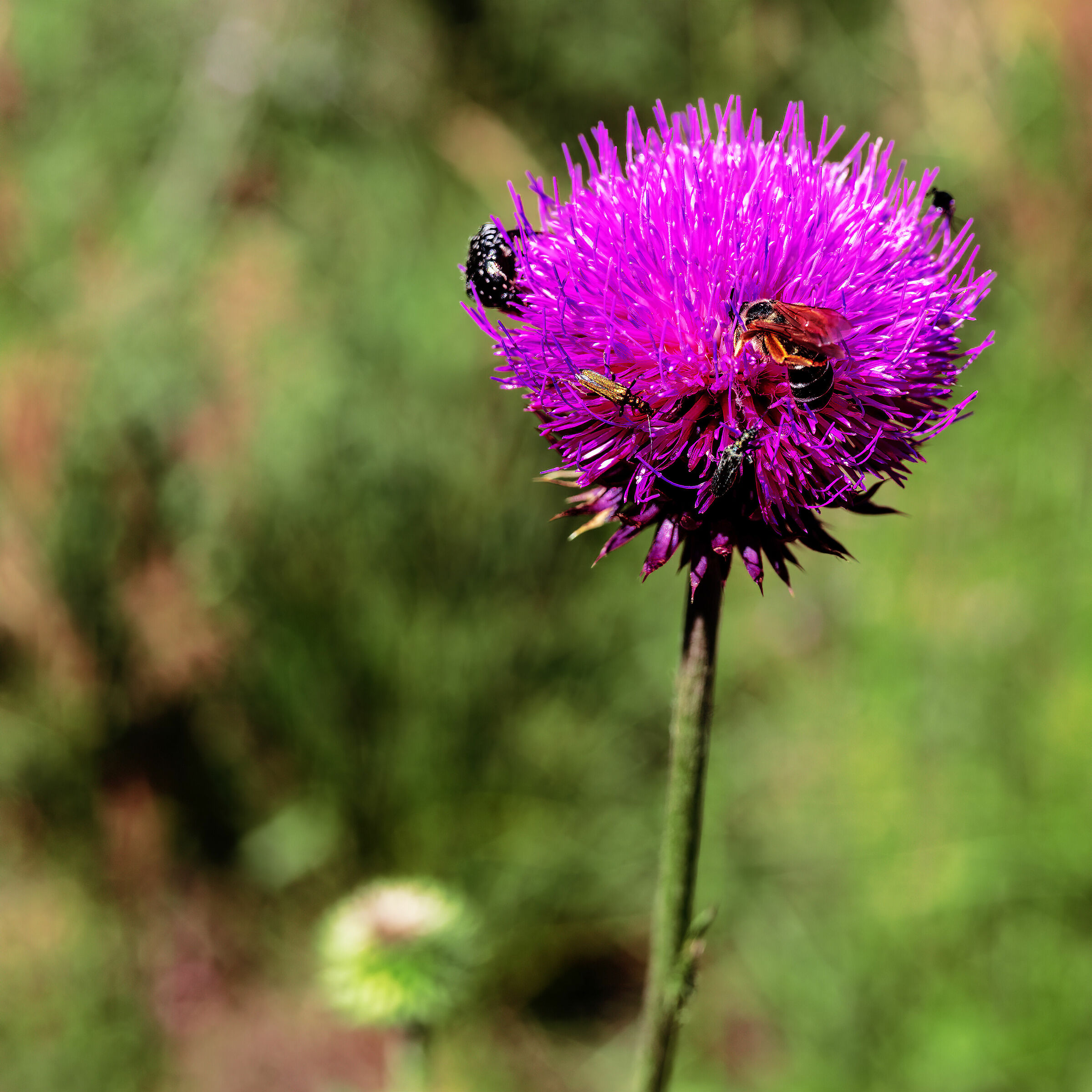 Do you want to do this?