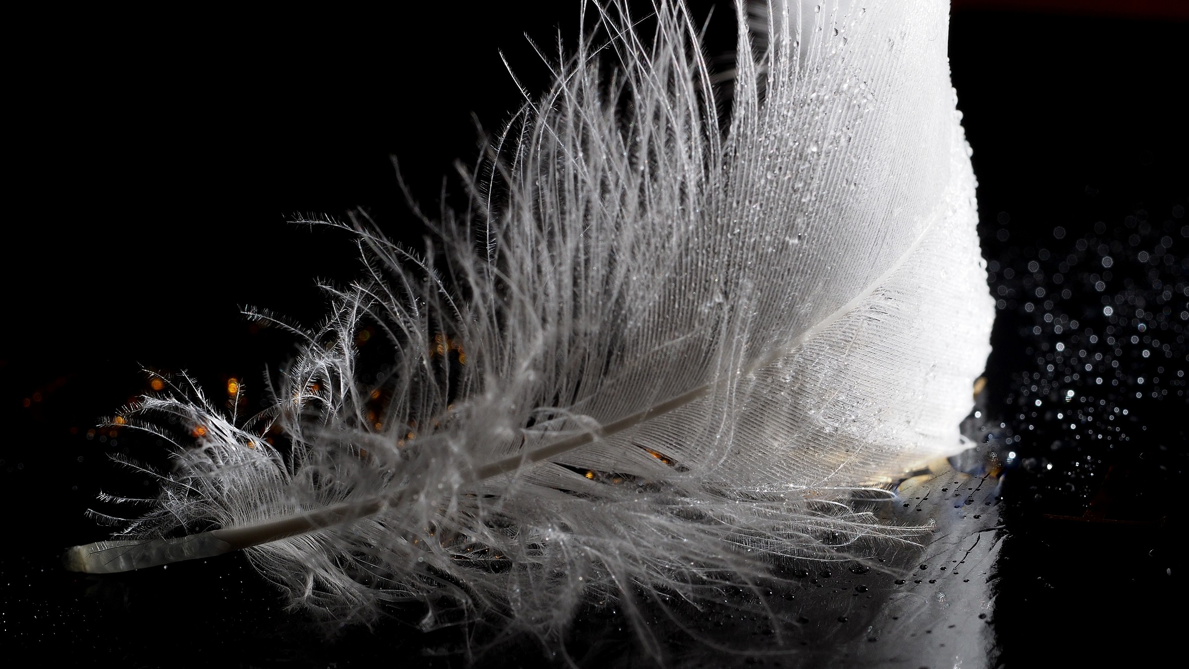 Gold flakes on white feather
