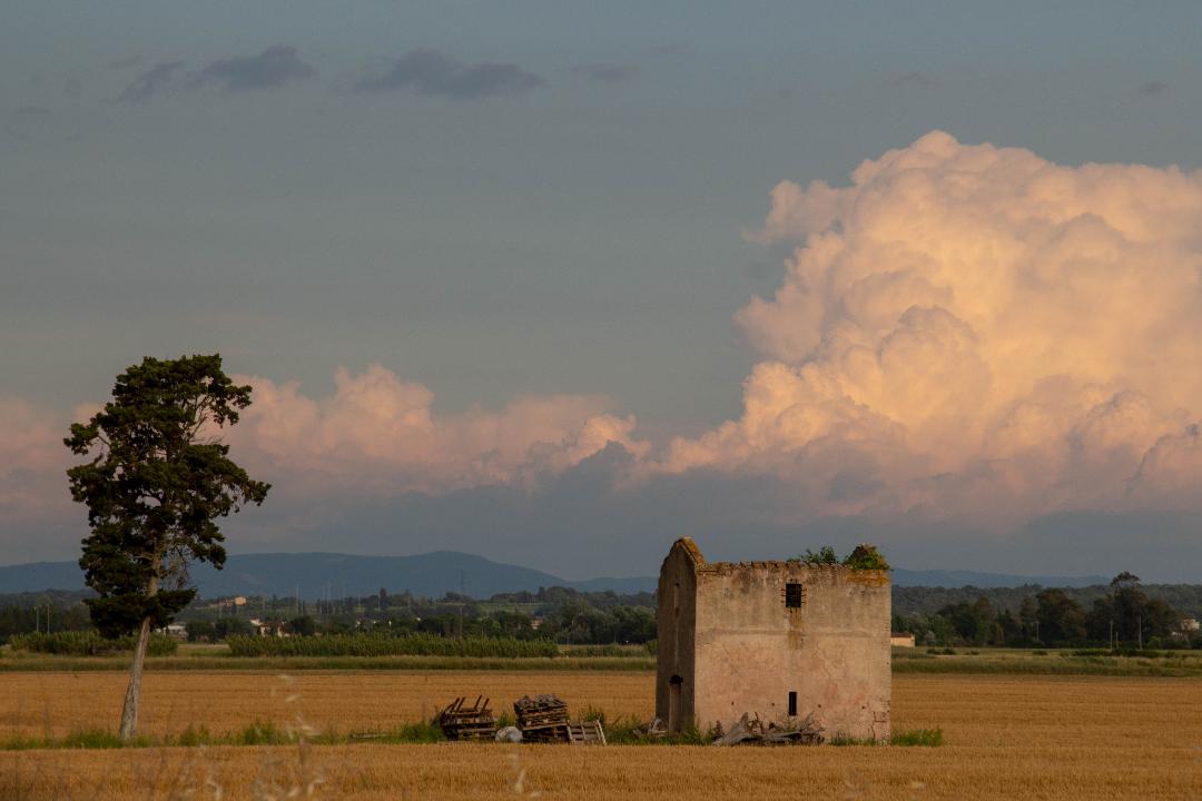 toscana