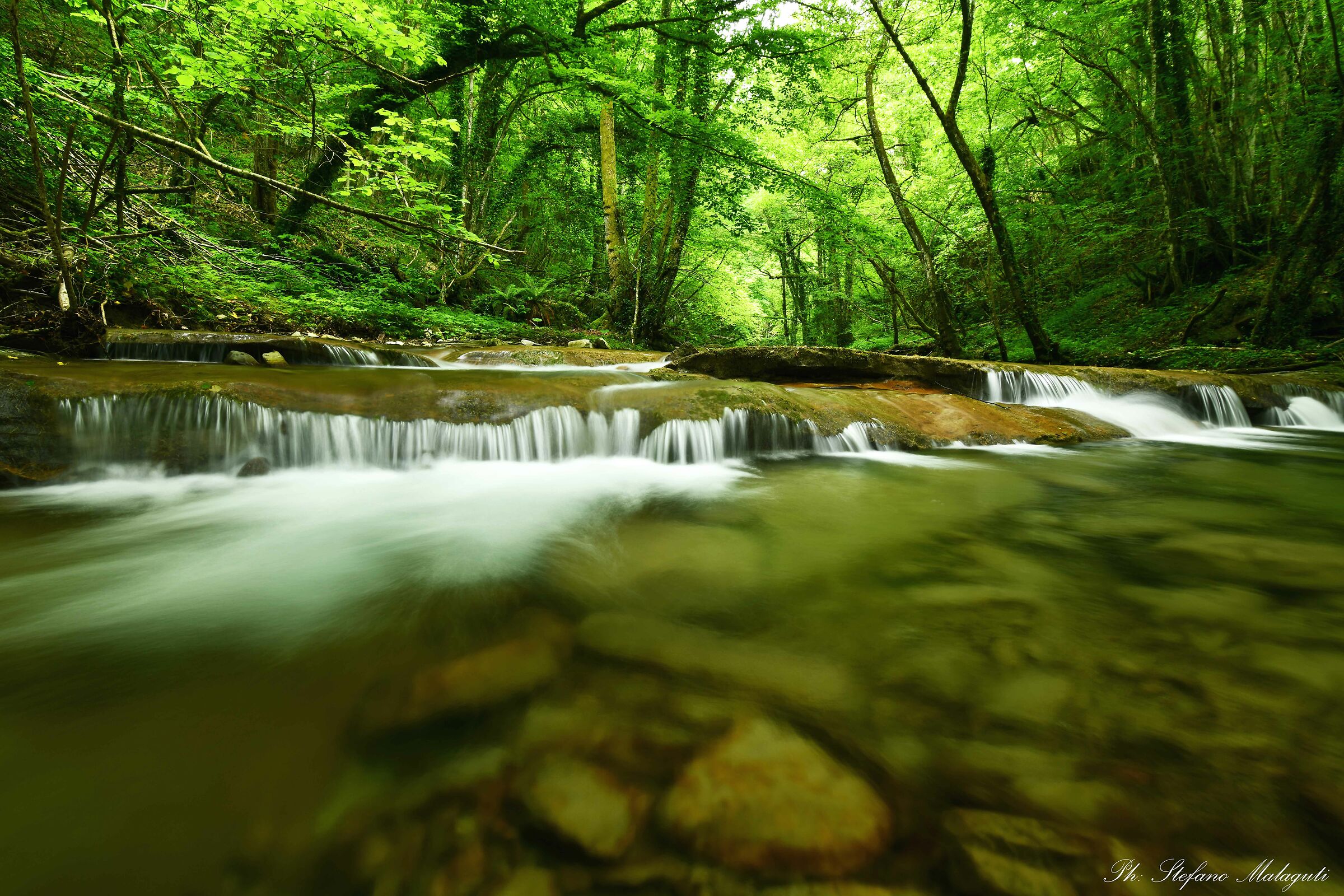 Wild River, California