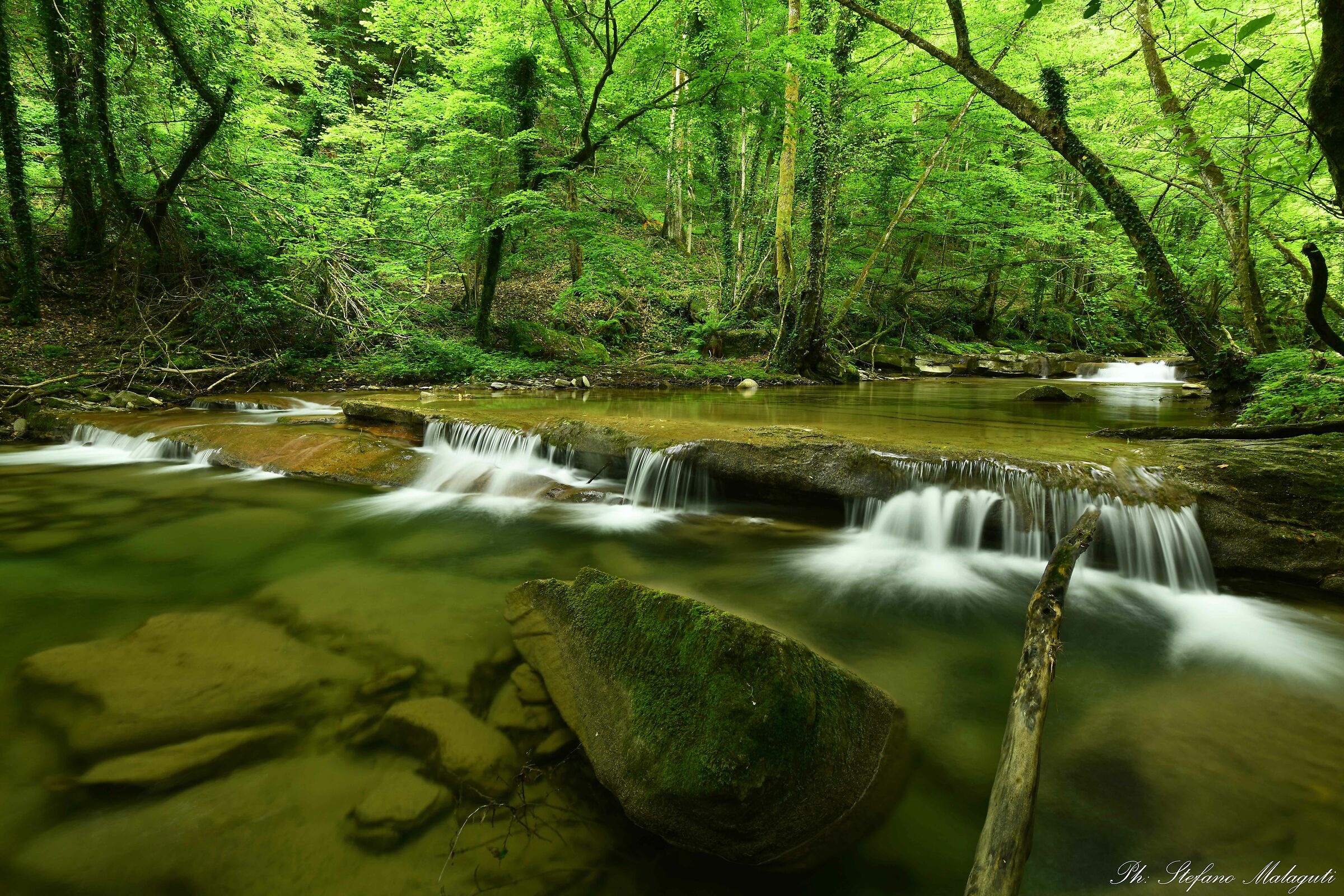 An enchanted glimpse