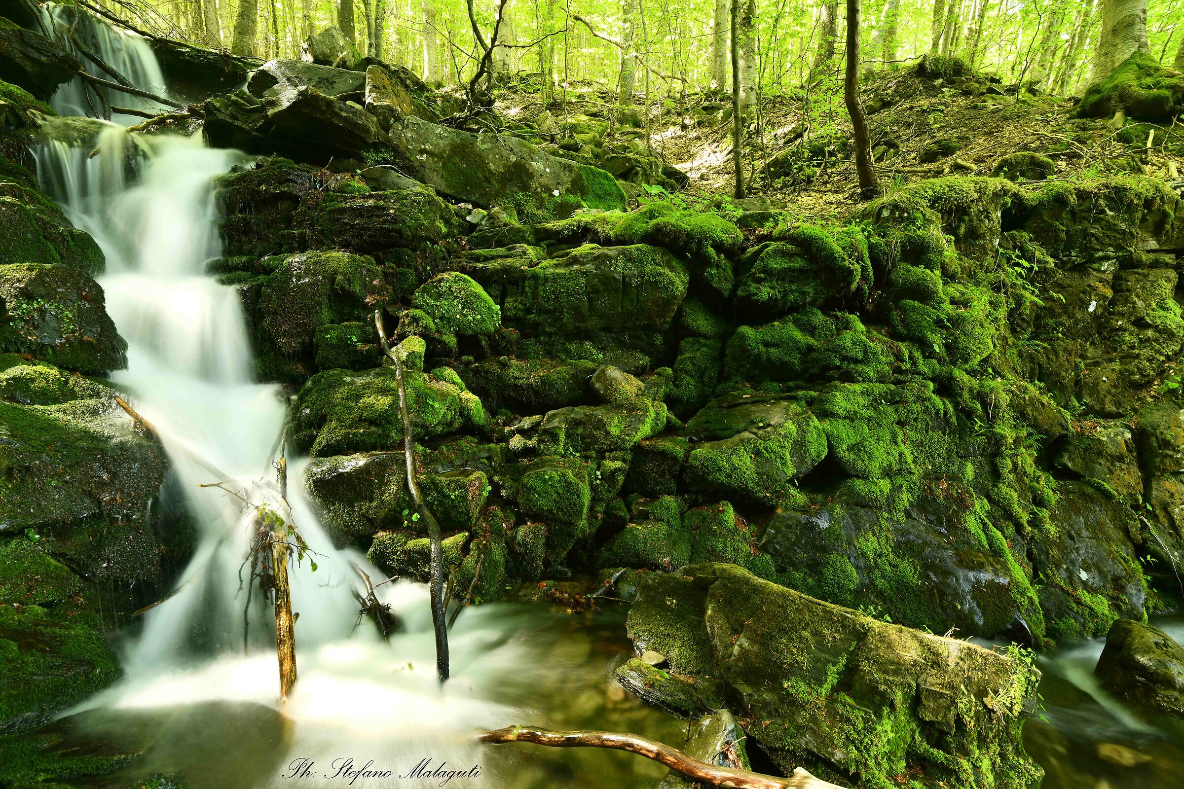 La cascata incantata