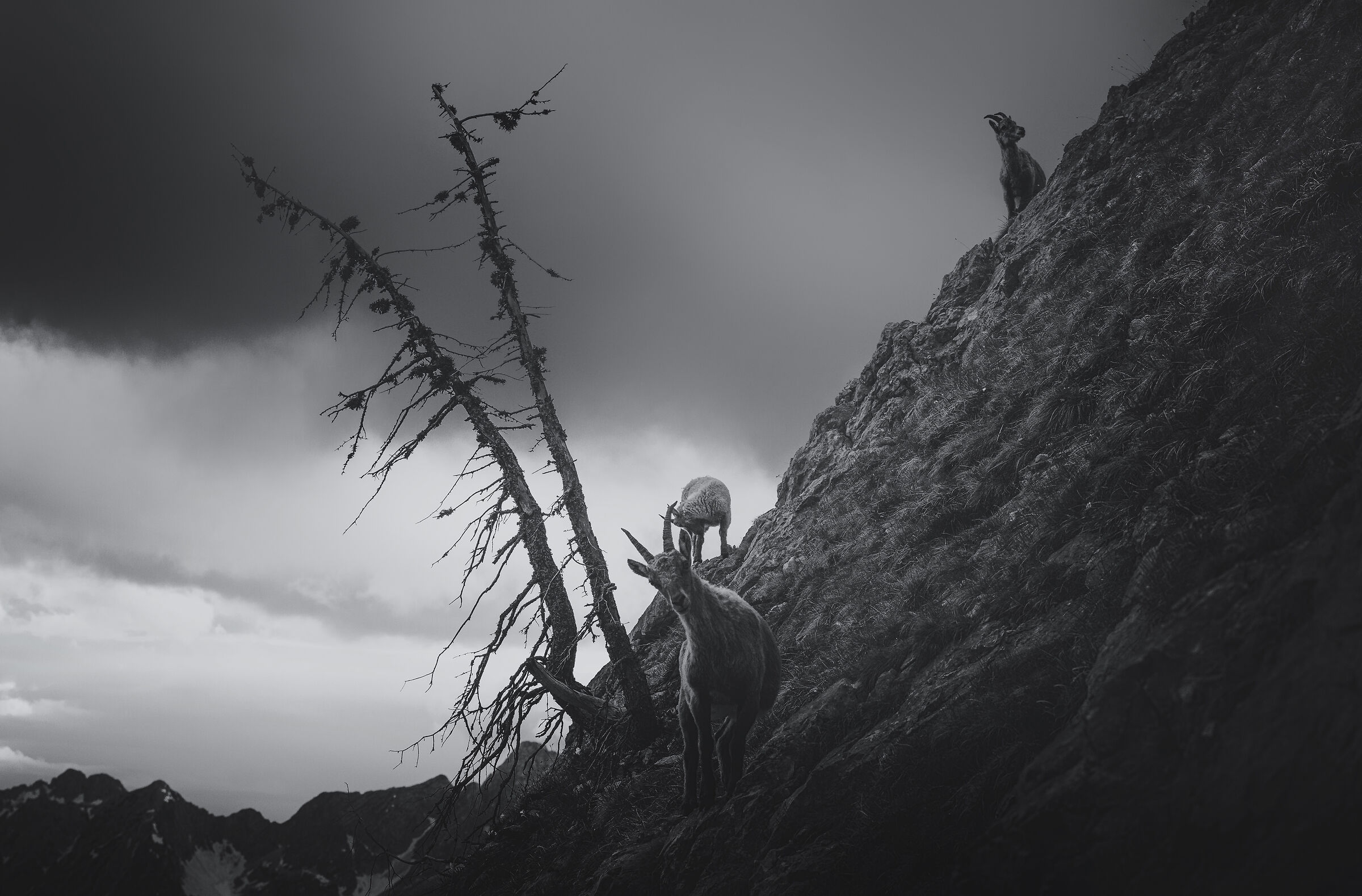 High in the mountains