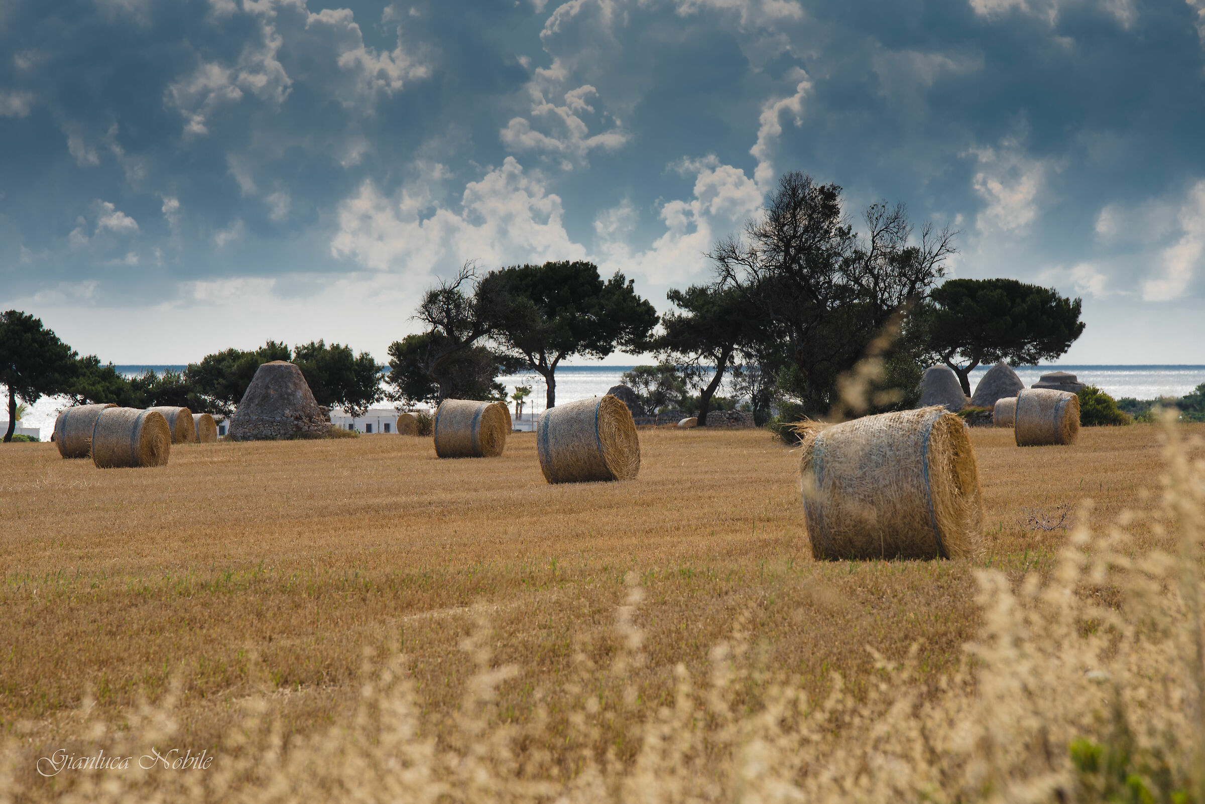 Fra Polignano e Mola