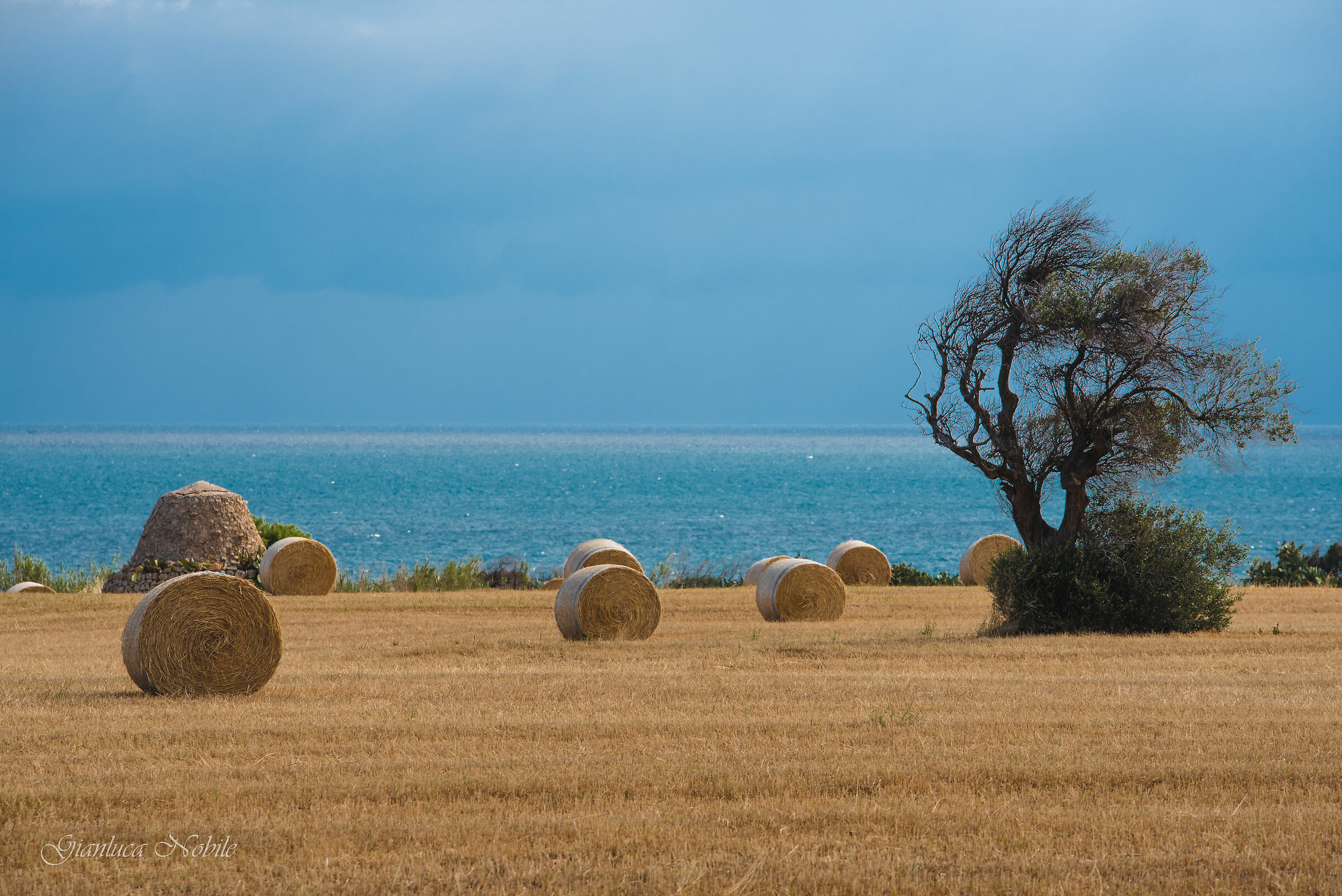 Fra Polignano e Mola 2
