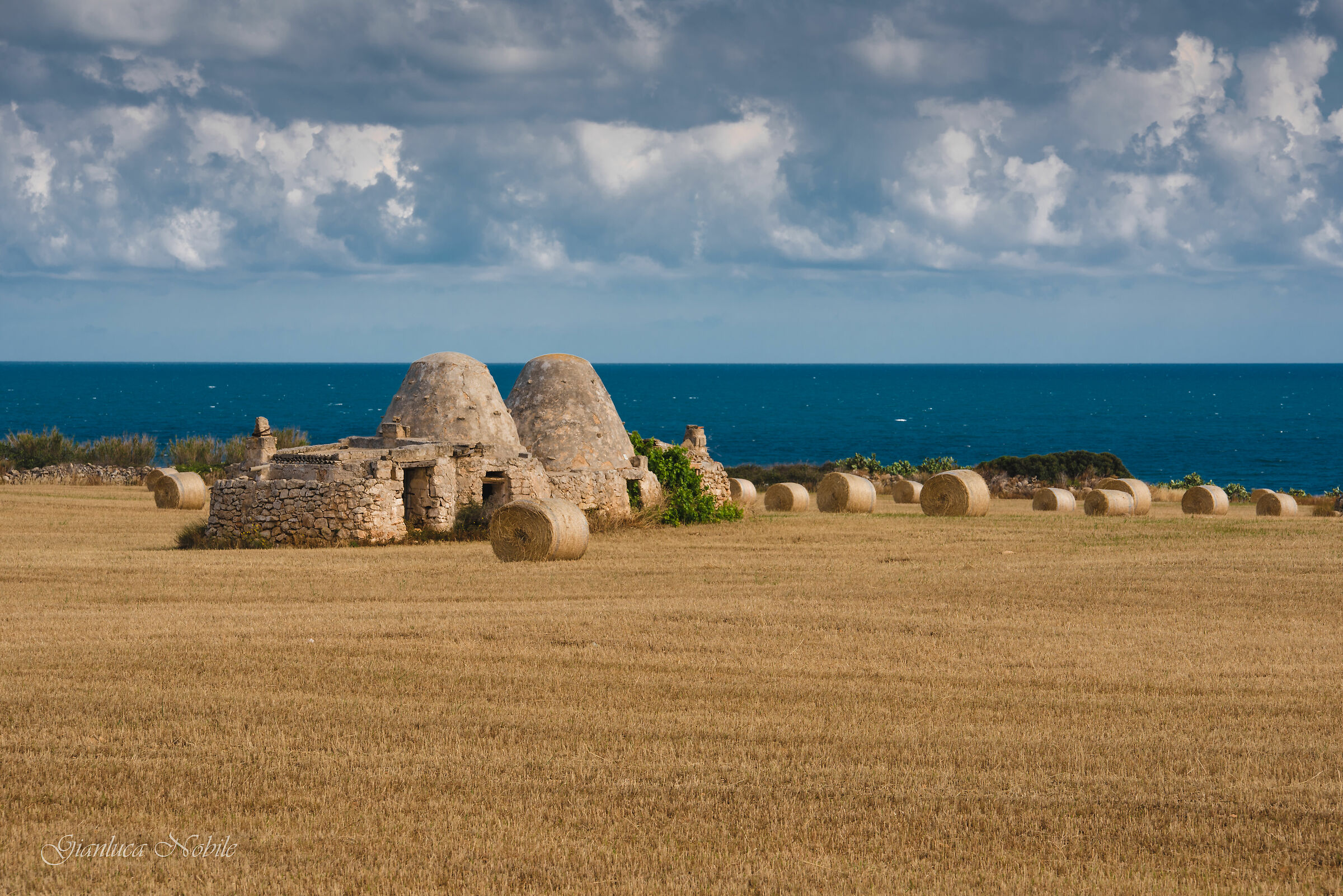 Fra Polignano e Mola 3