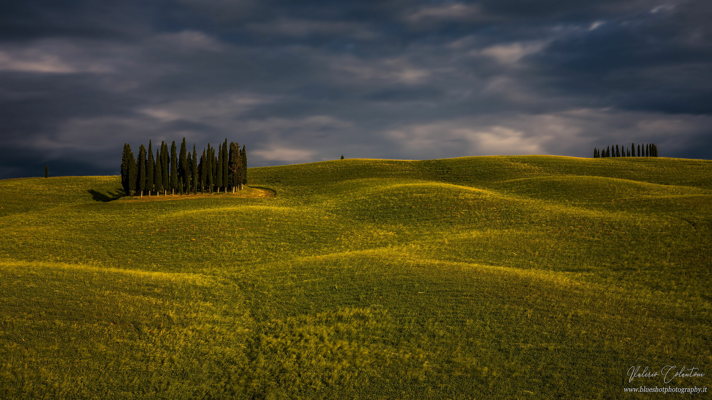 I famosi cipressini della val d'Orcia...