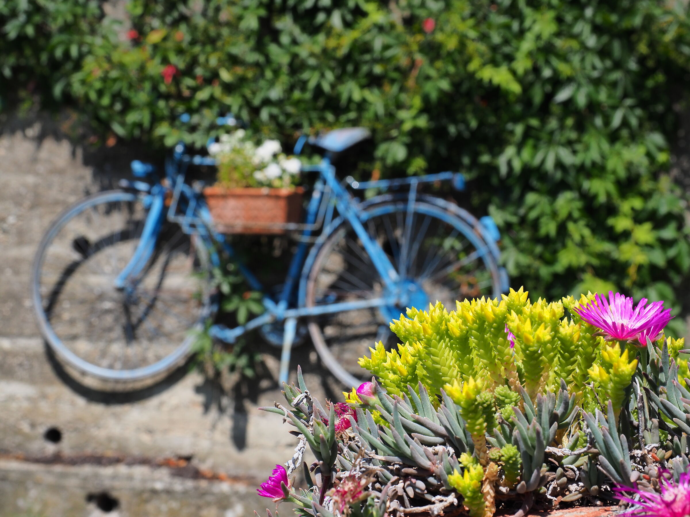 Porta-fiori