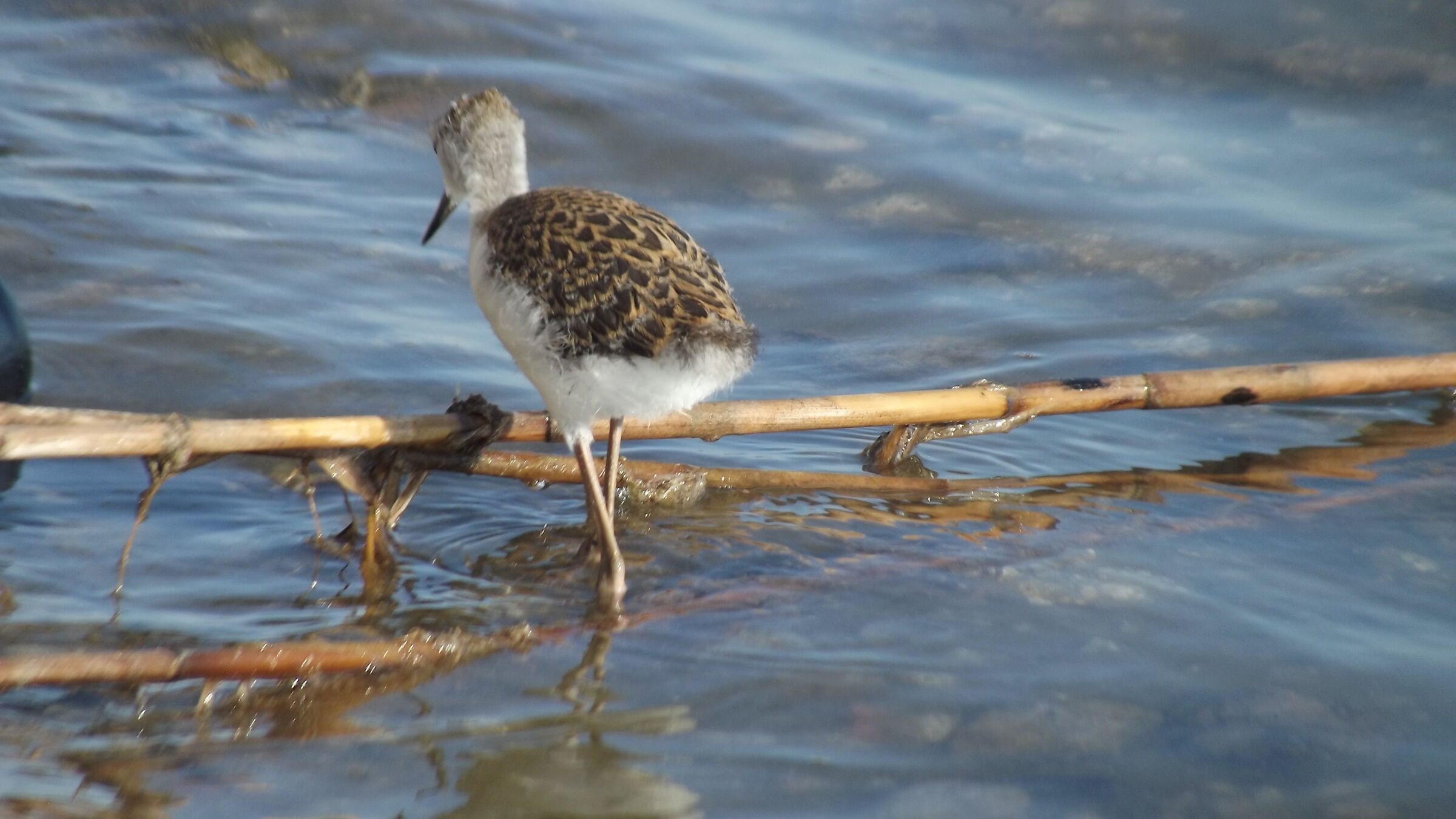 Non sara' mica proprieta' privata...