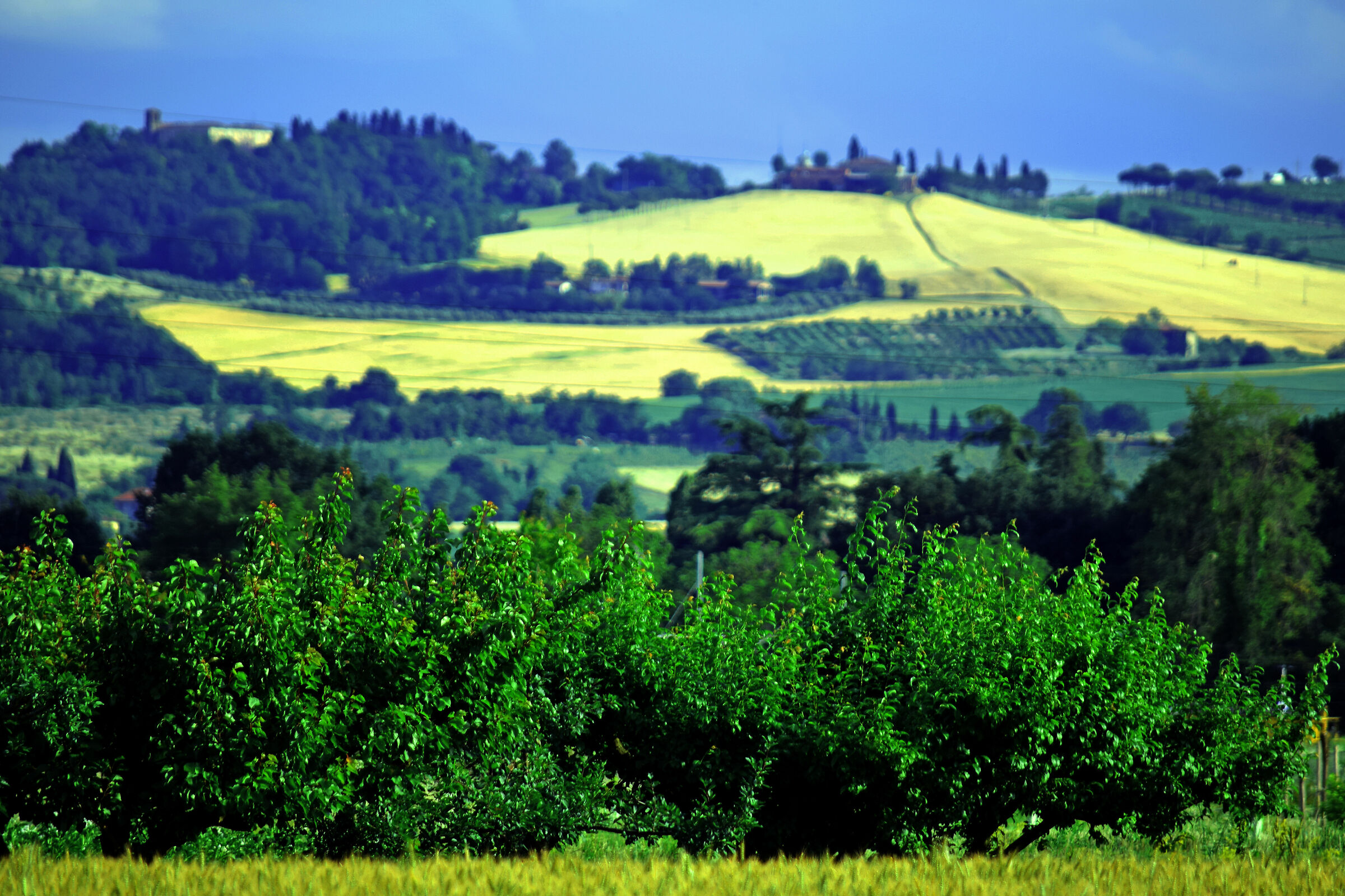 poco lontano le mie colline