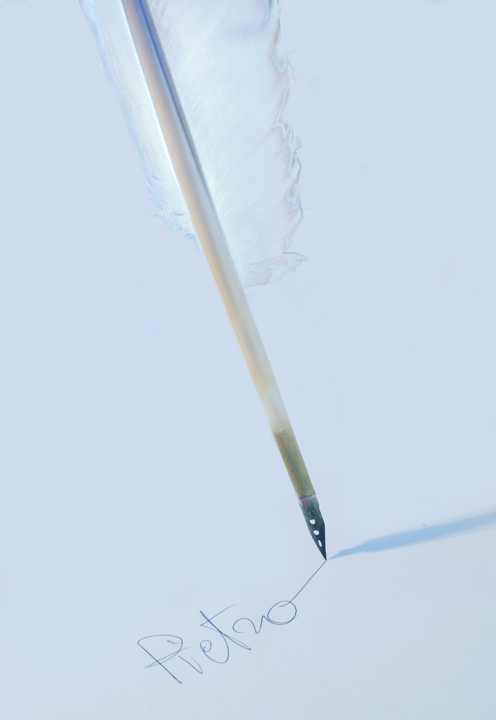 today I sign with the goose pen