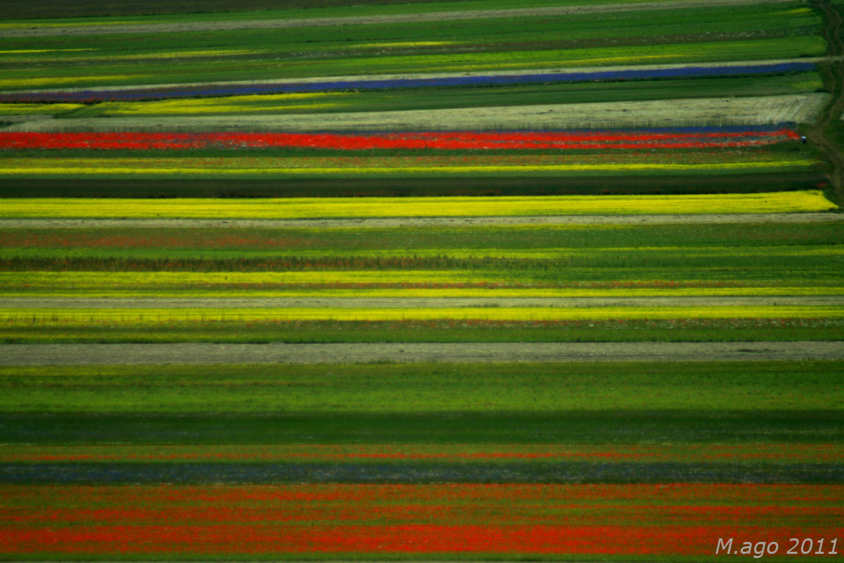 Tavolozza di colori a Castelluccio