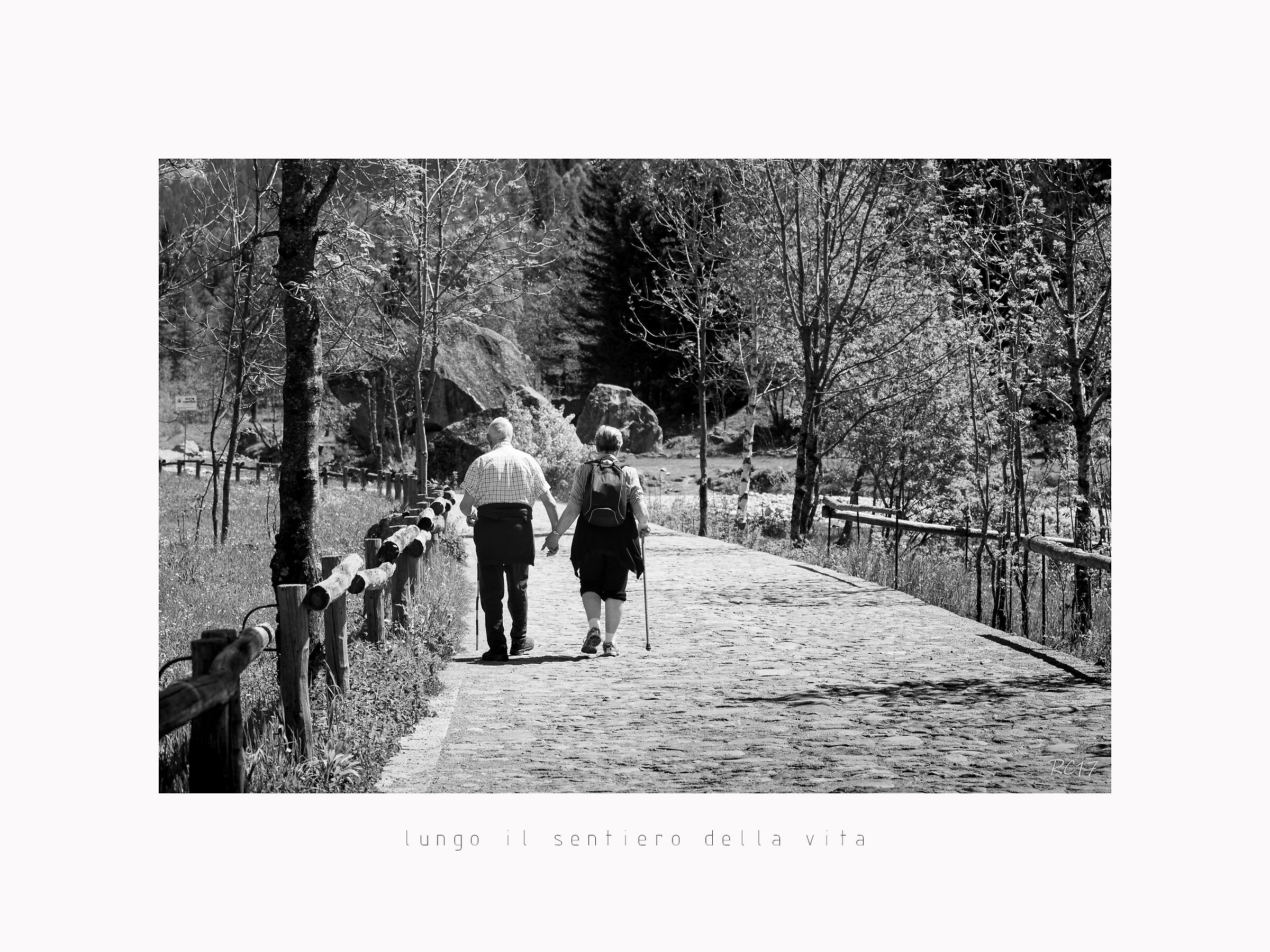 Lungo il sentiero della vita