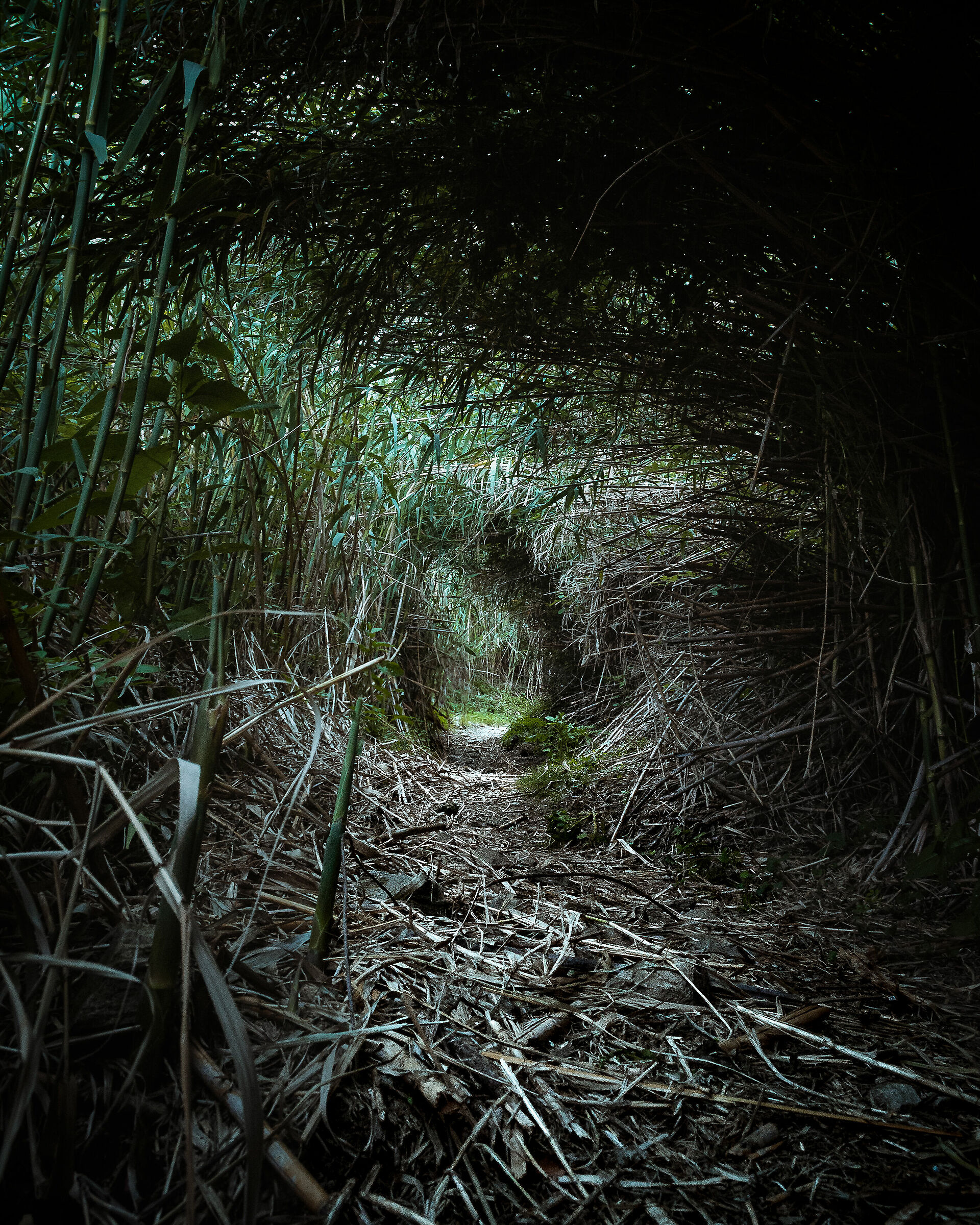 "In the midst of the walk of our lives..."