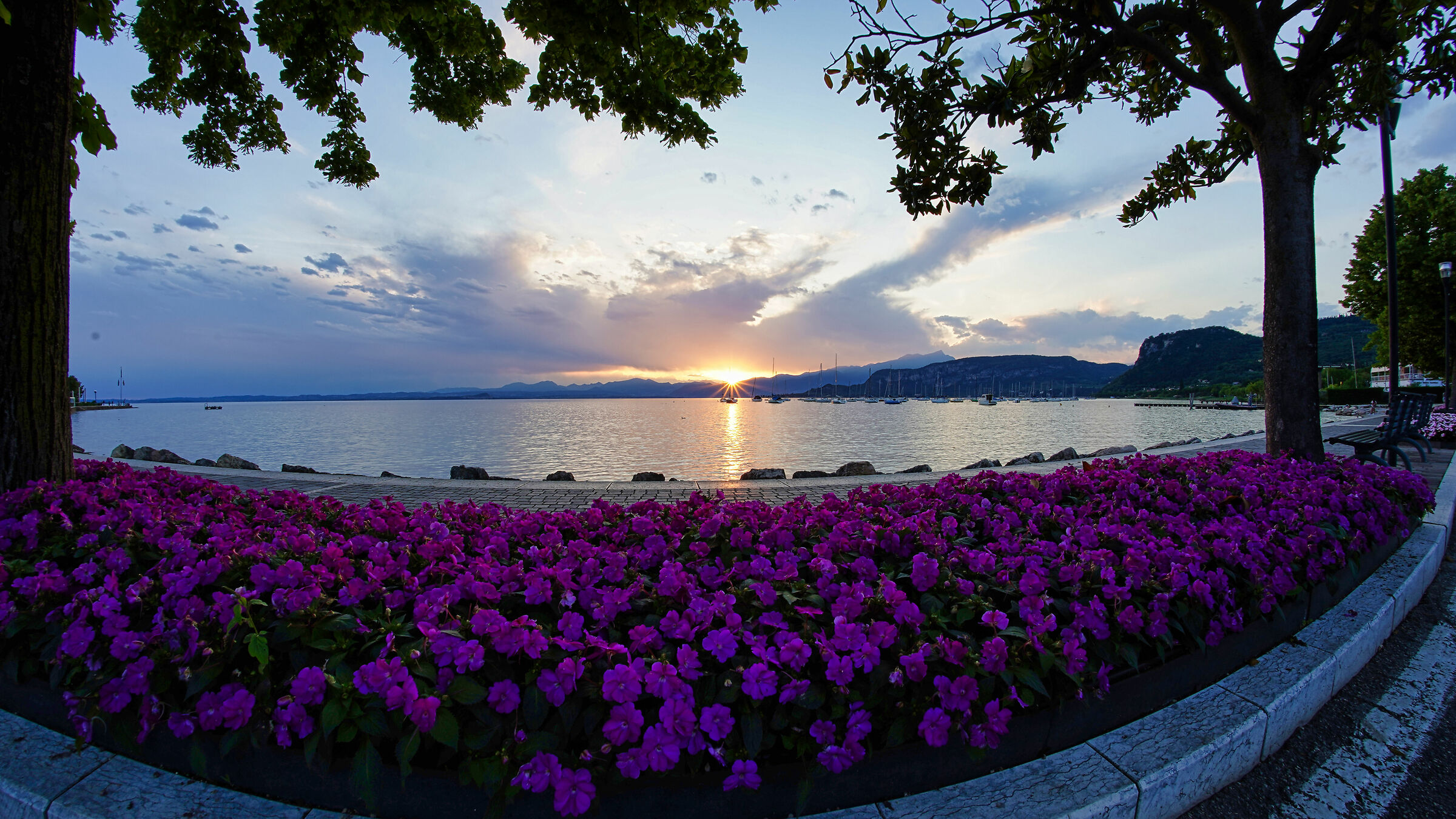 Bardolino,Lago Di Garda