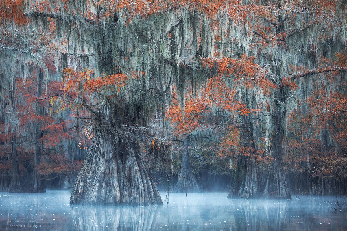 Paesaggio antidiluviano