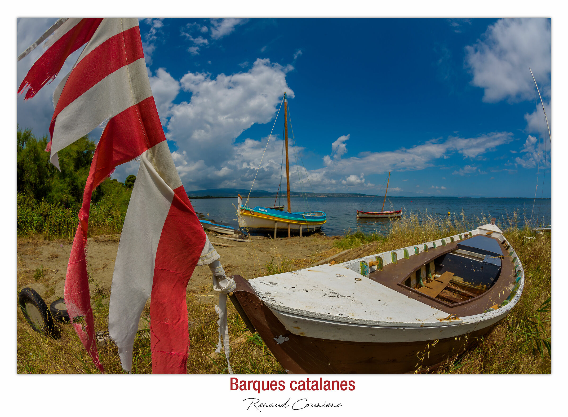Barche catalane