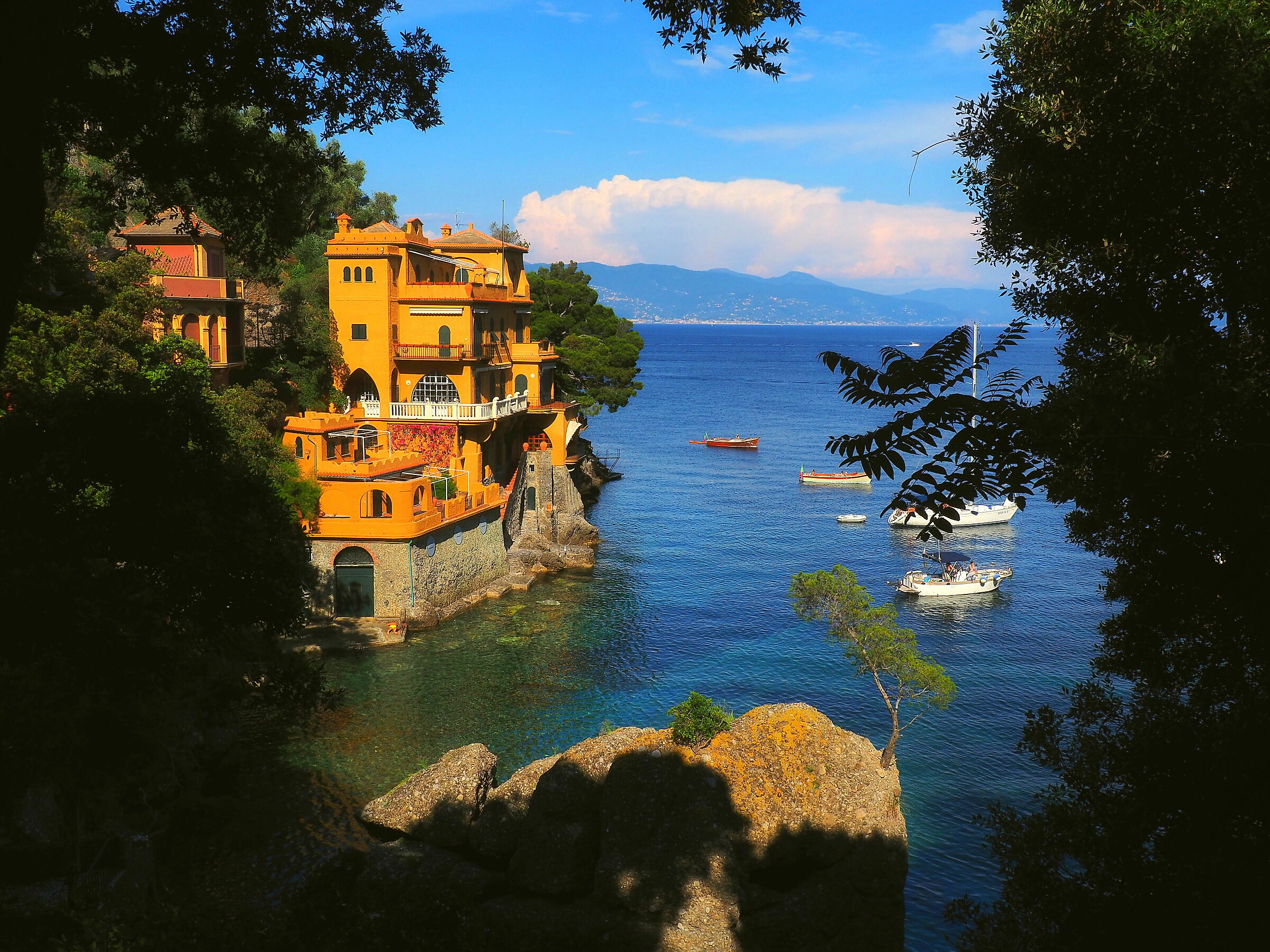 Il  mare di Portofino