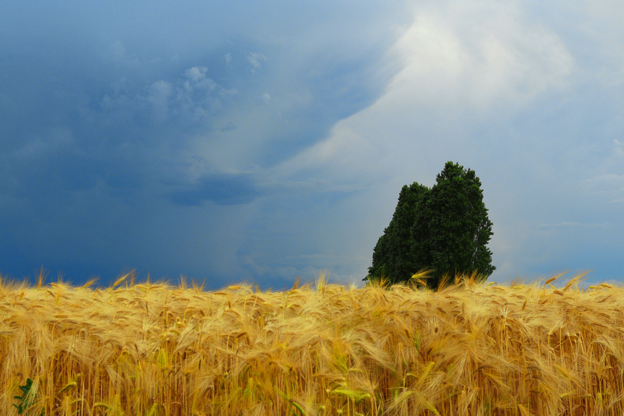 Temporale in arrivo...