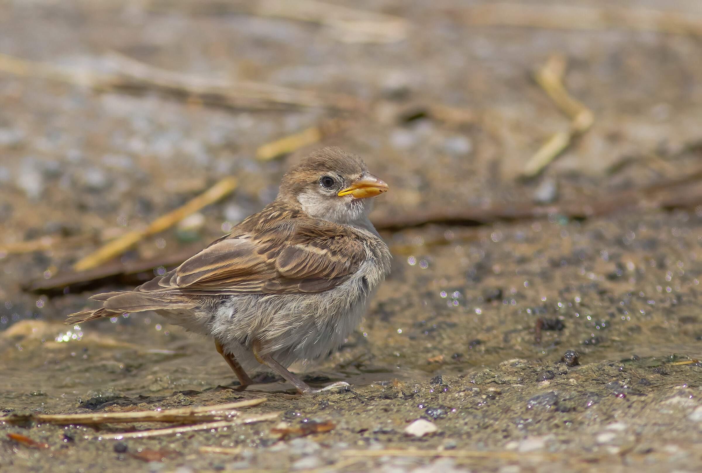 I really have to bathe. Mom