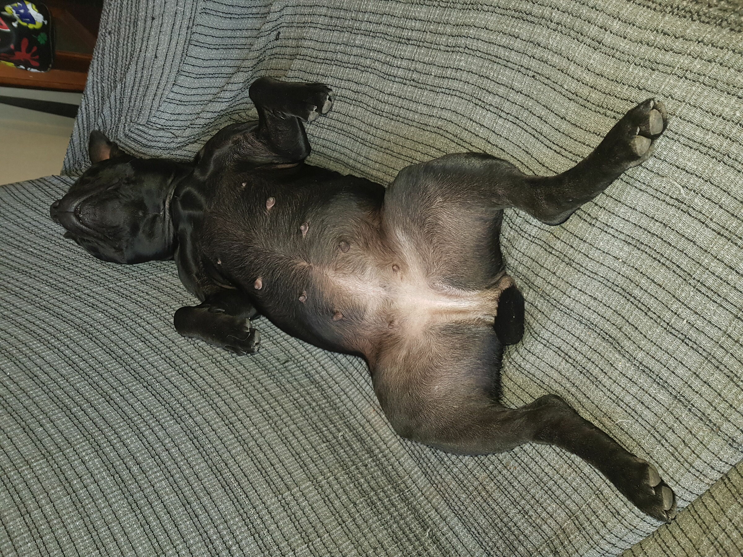 Svaccamento (non sono una signora )