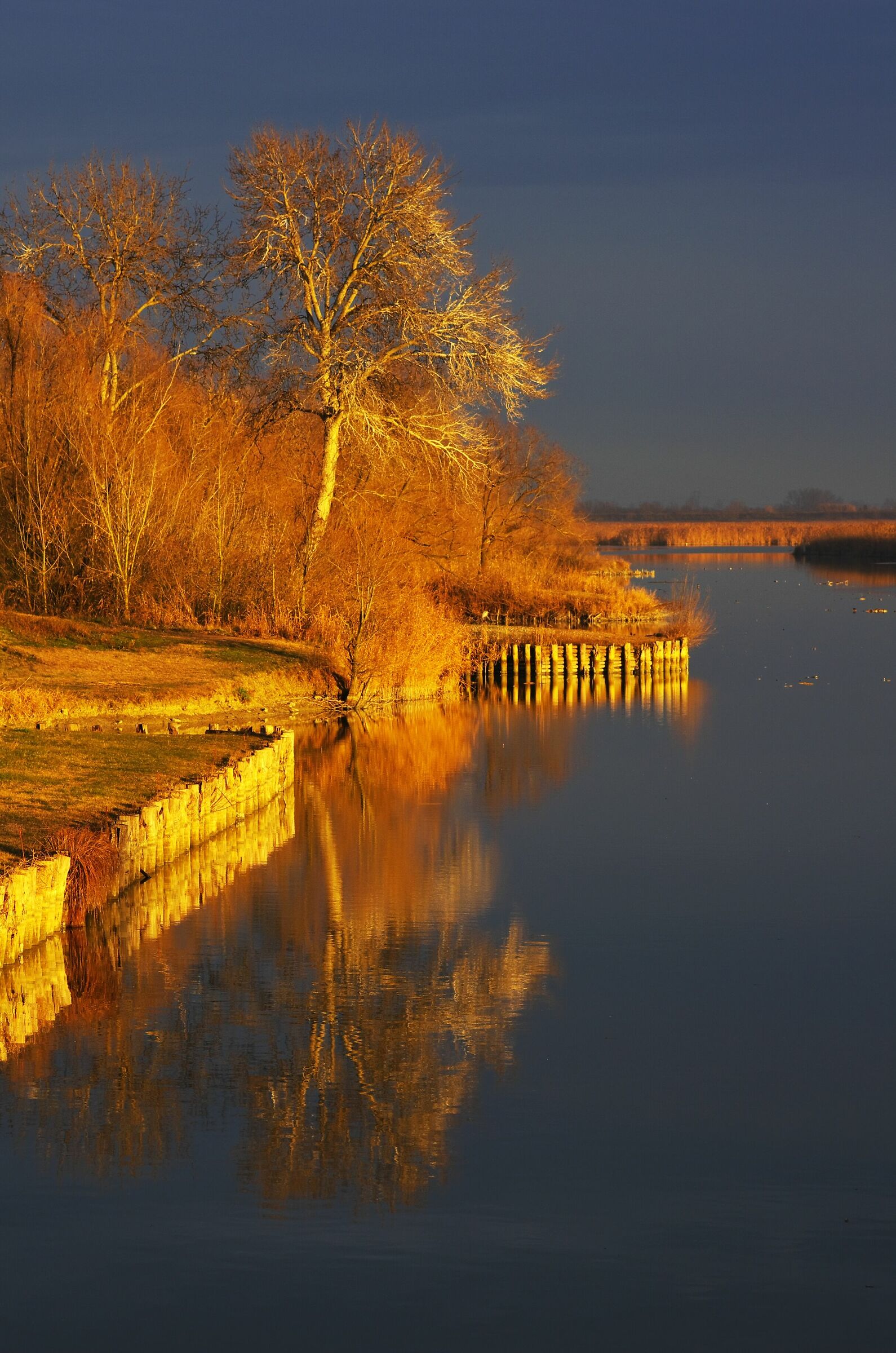 Area of the Delta of the Po.