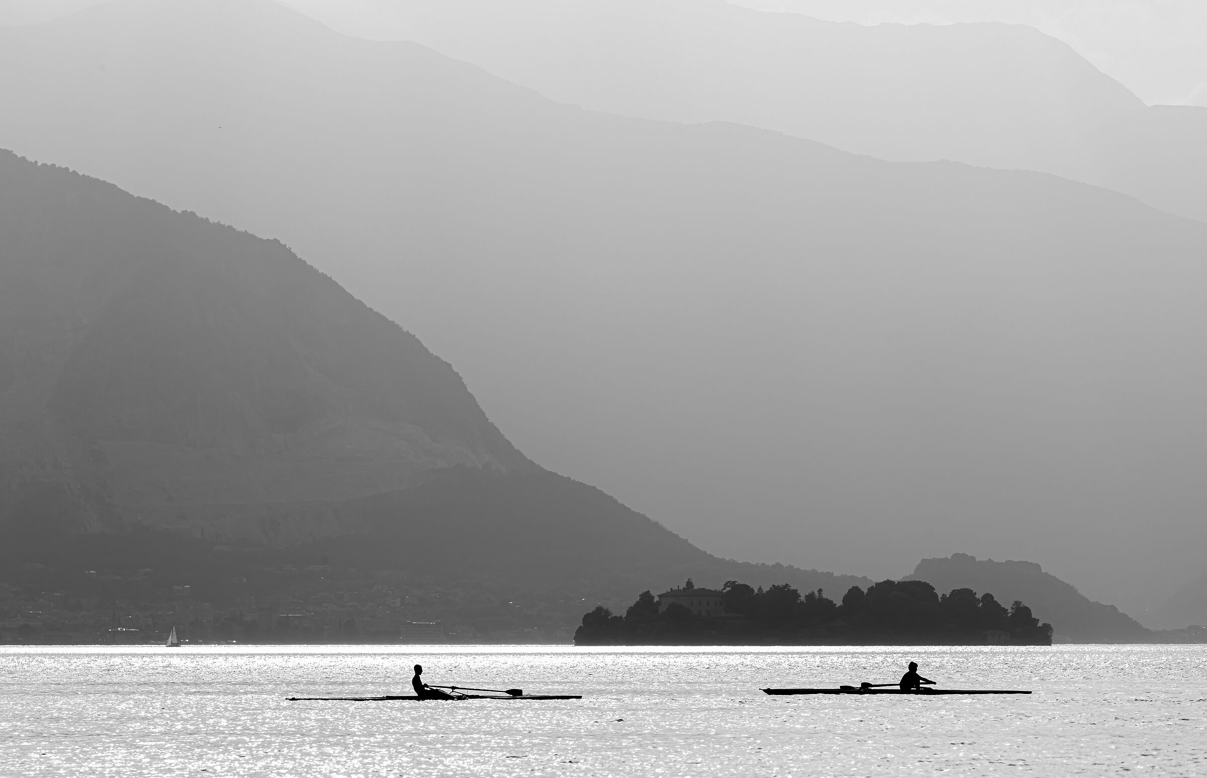 sette tonalità di grigio