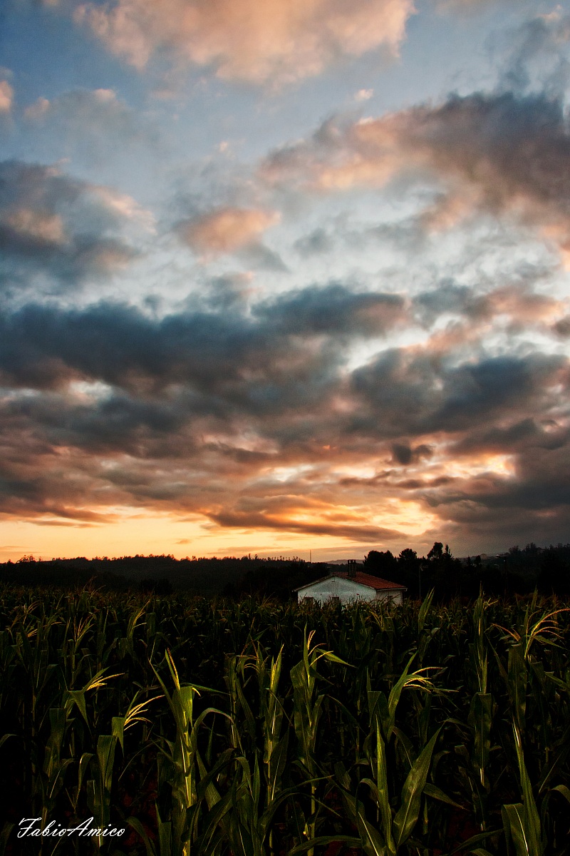 l'alba nelle campagne dei paesi baschi