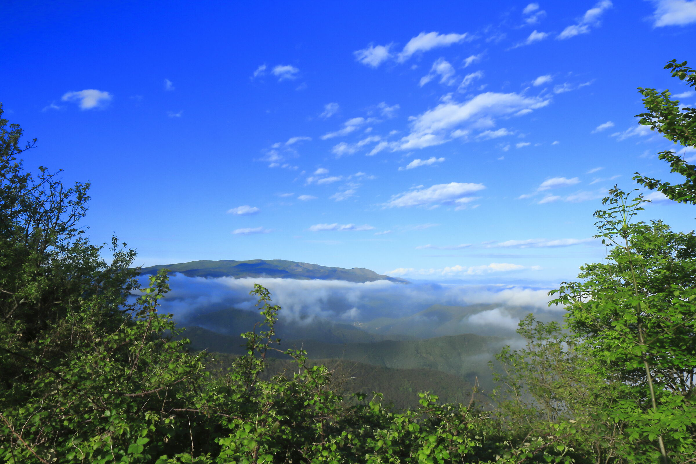 The sky is blue above the clouds!