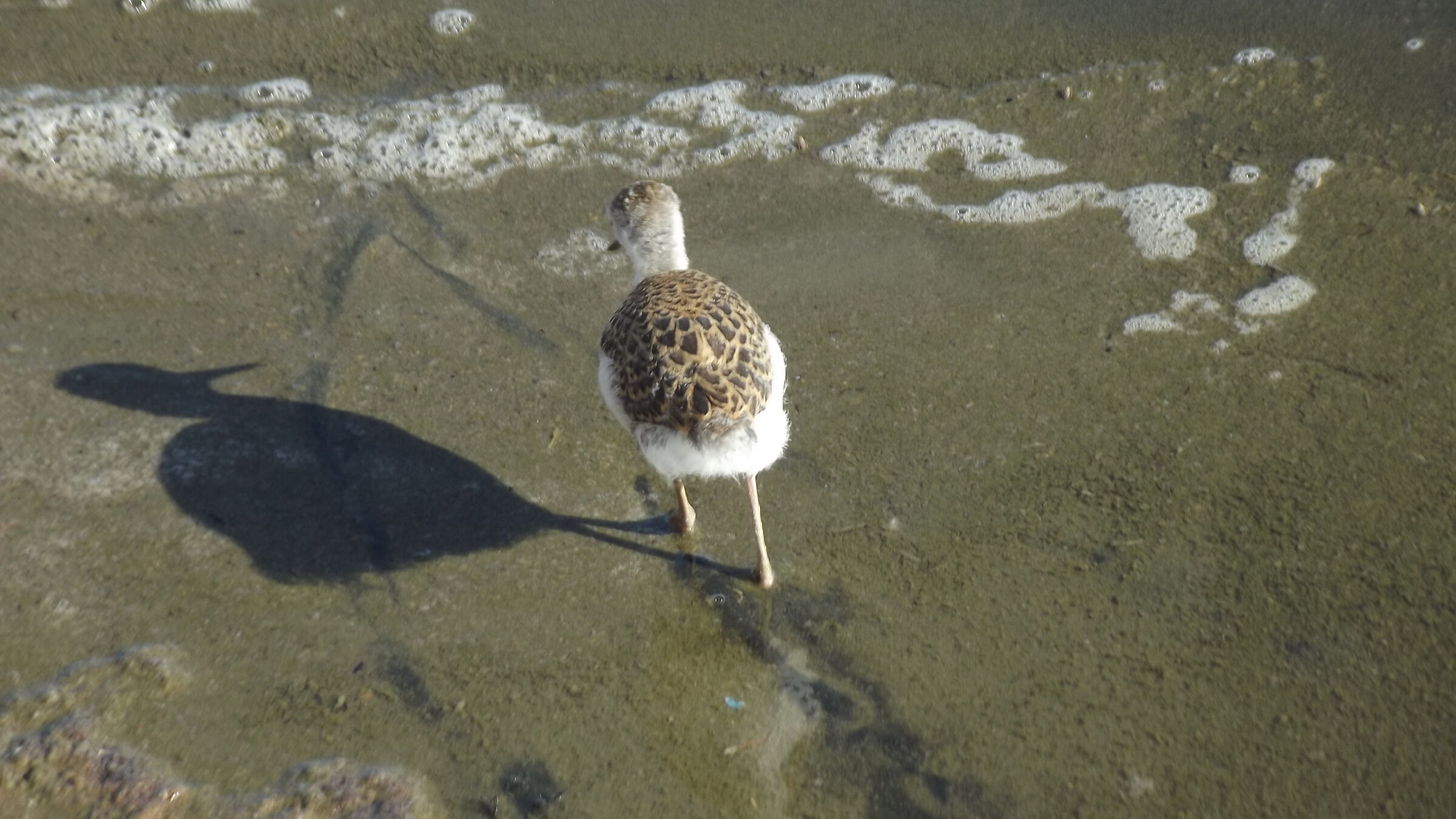 Un profilo invidiabile...