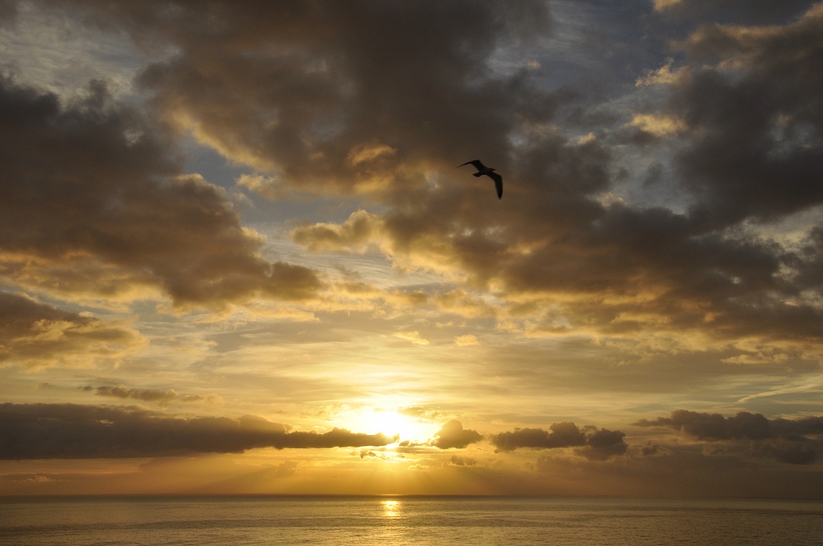 Nel blu dipinto di blu