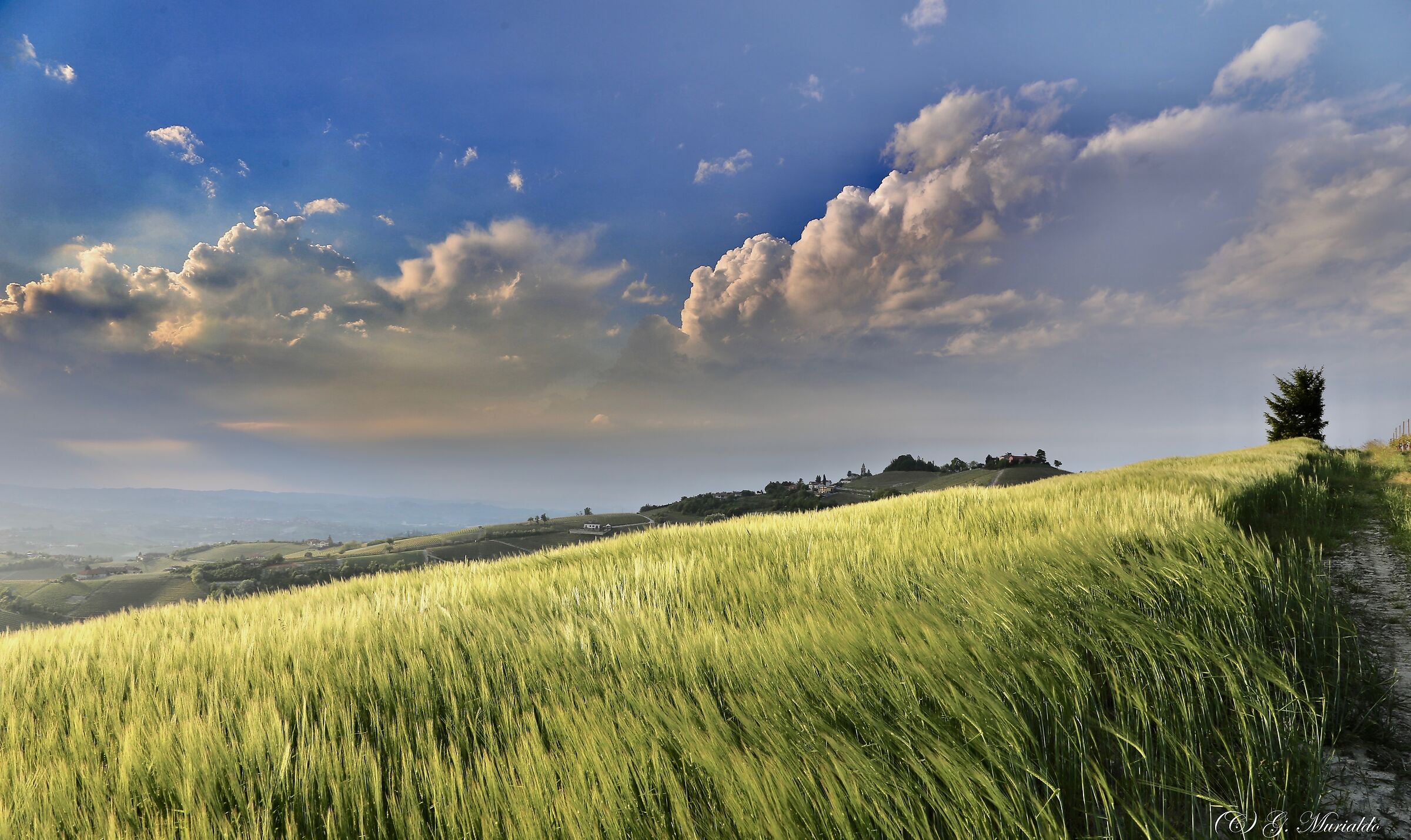 una giornata ventosa