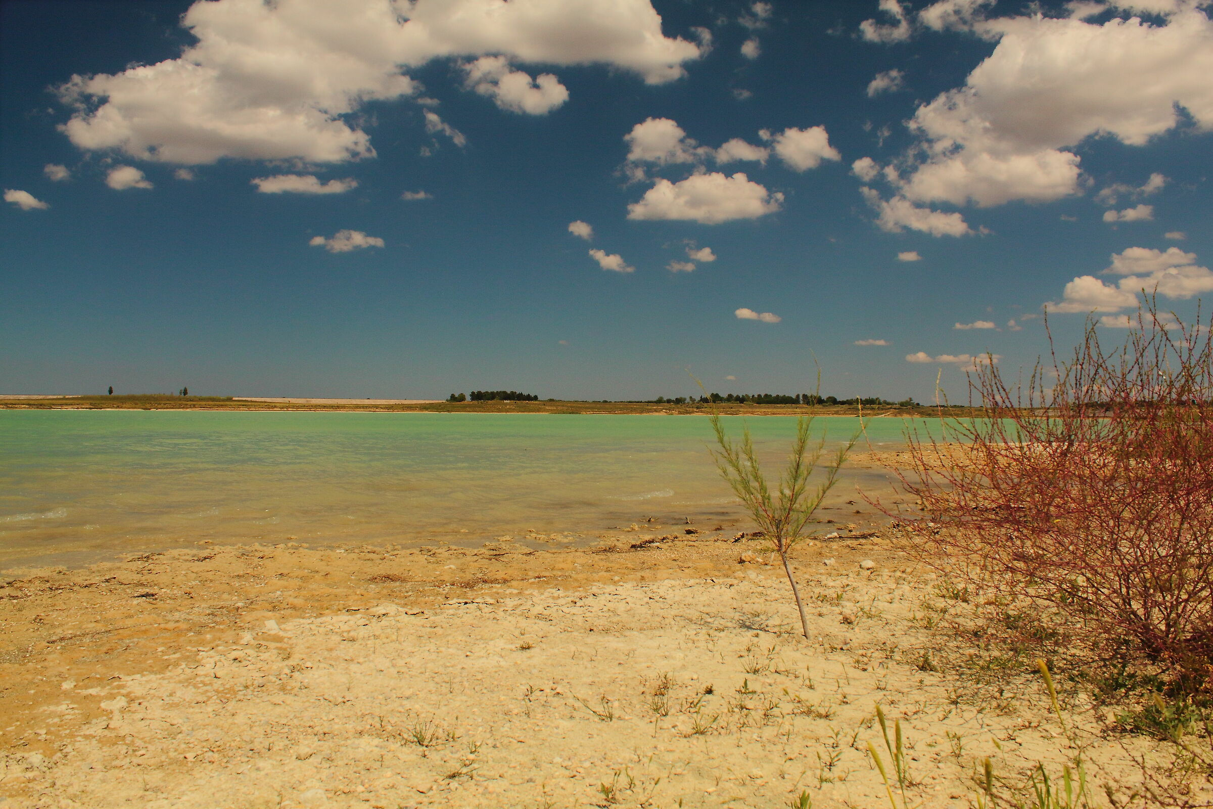 Lago Pappadai  "Taranto"