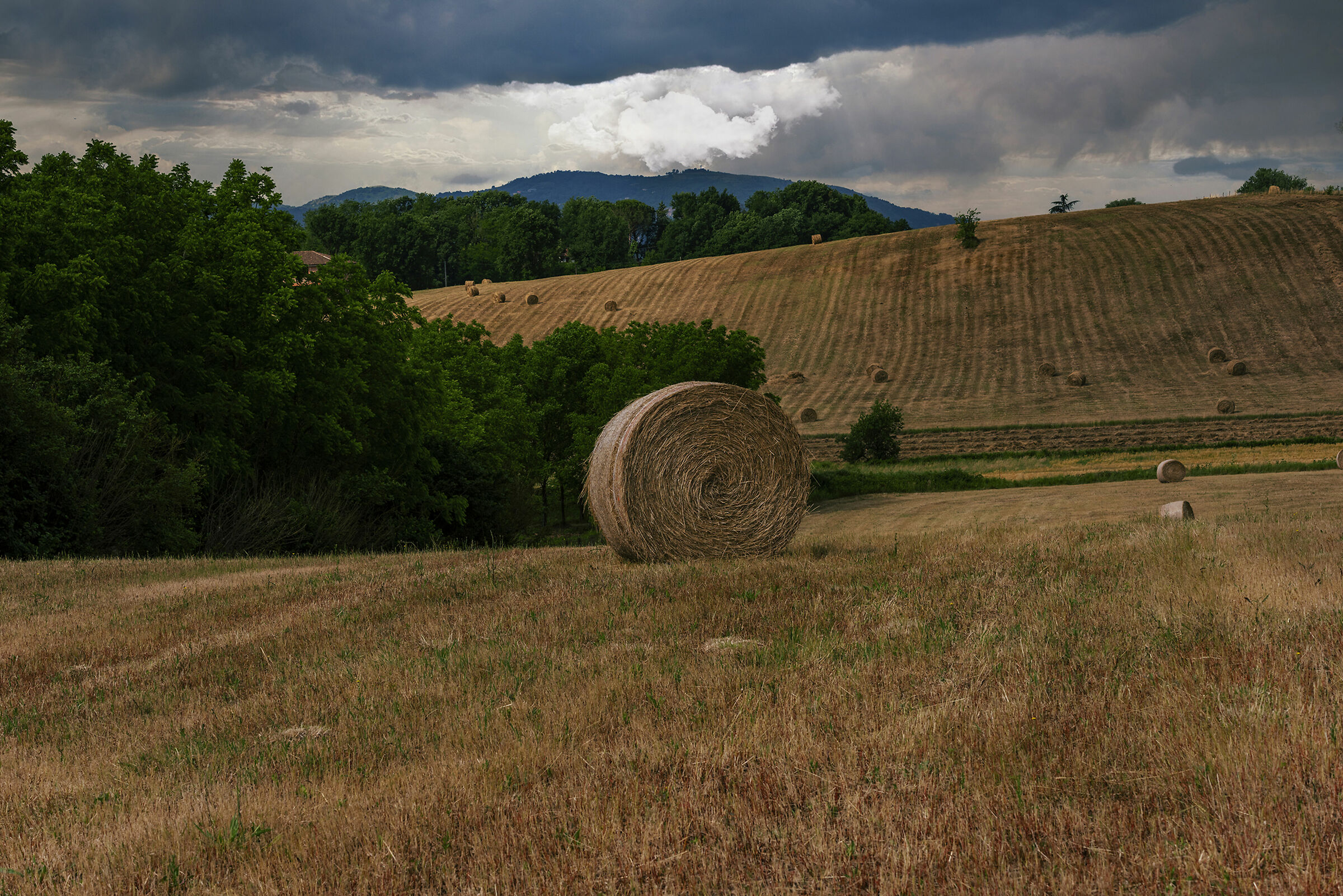 Hay bales
