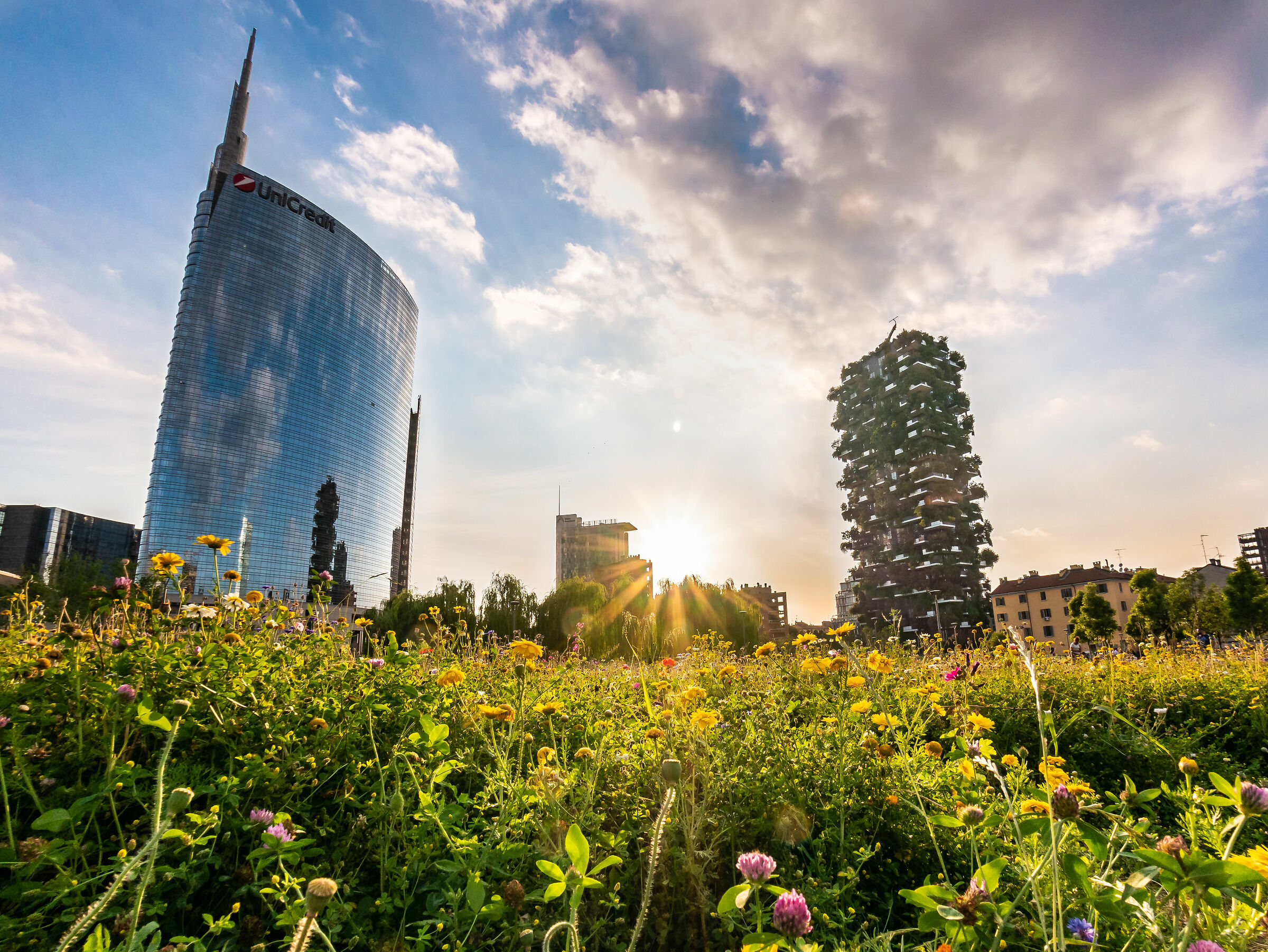 Tree Library - Milan