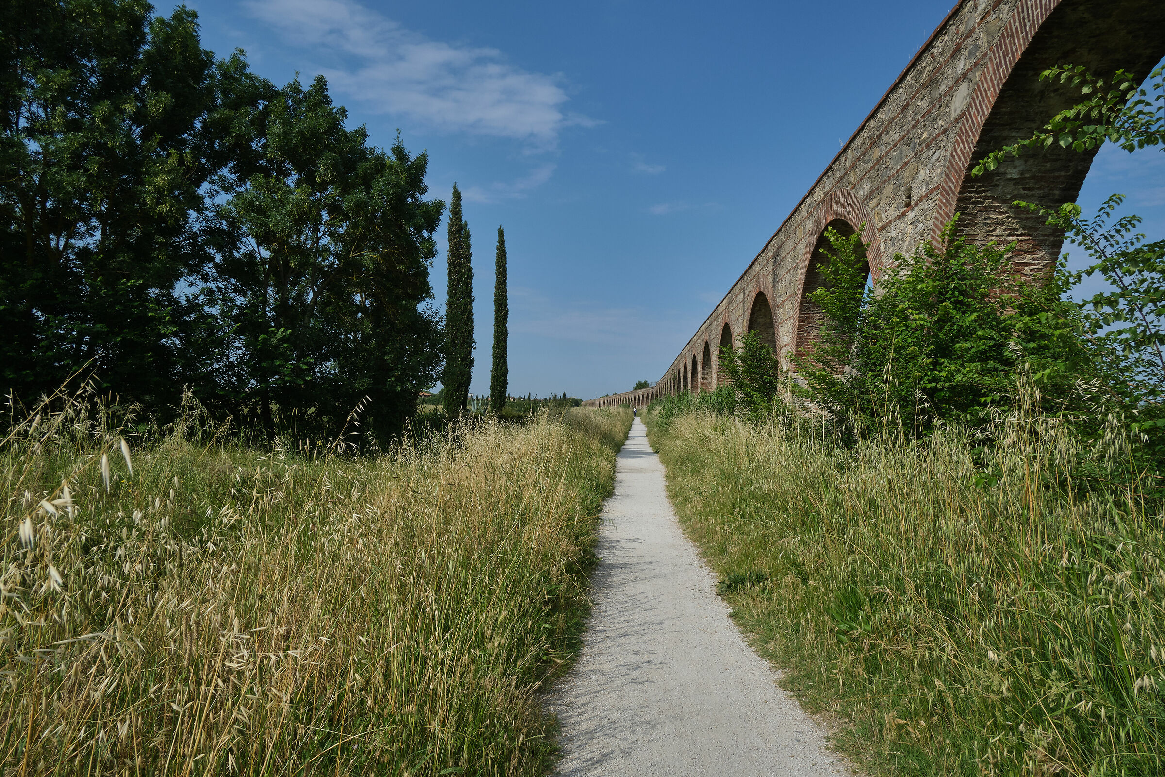 Ordered perspectives