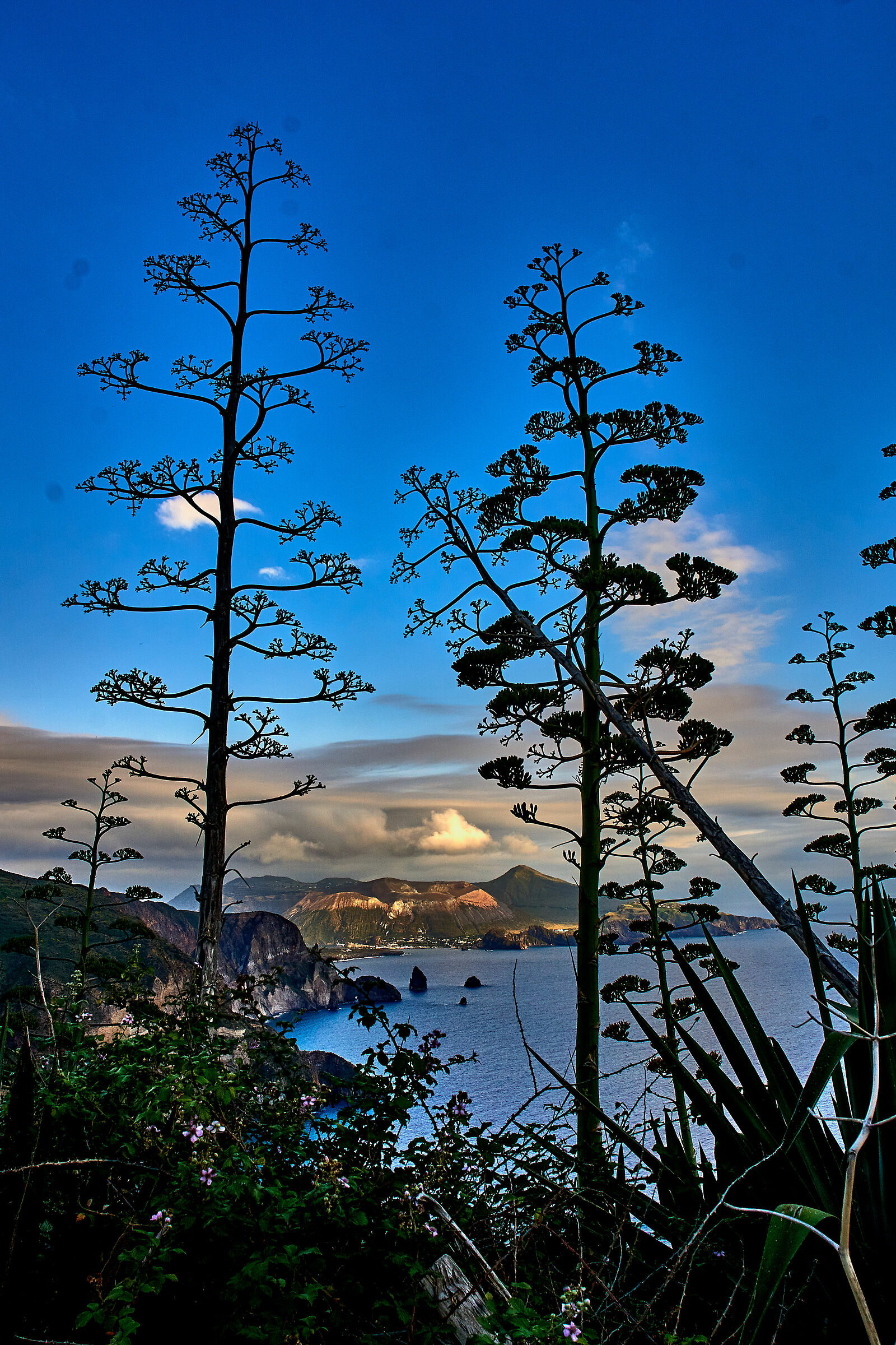 Quattrocchi di Lipari con cornice di agavi