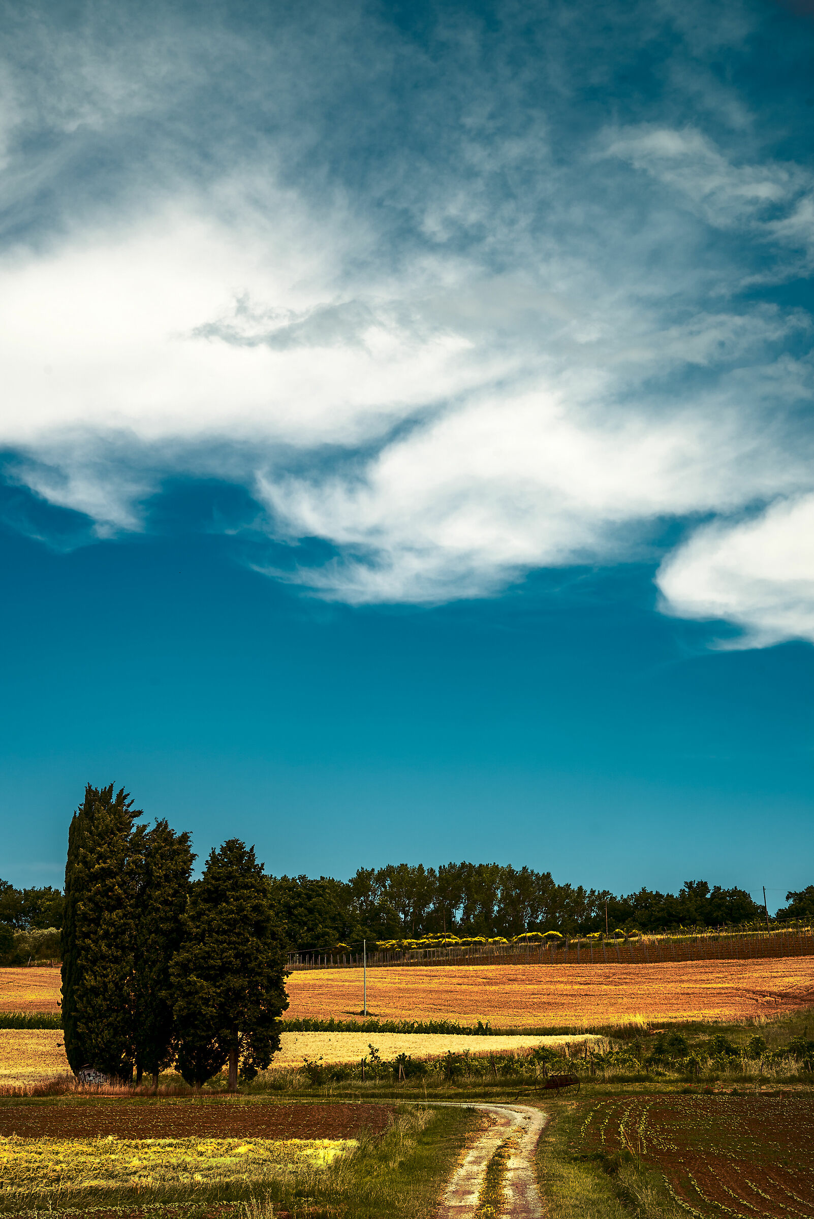 tra umbria e toscana 3