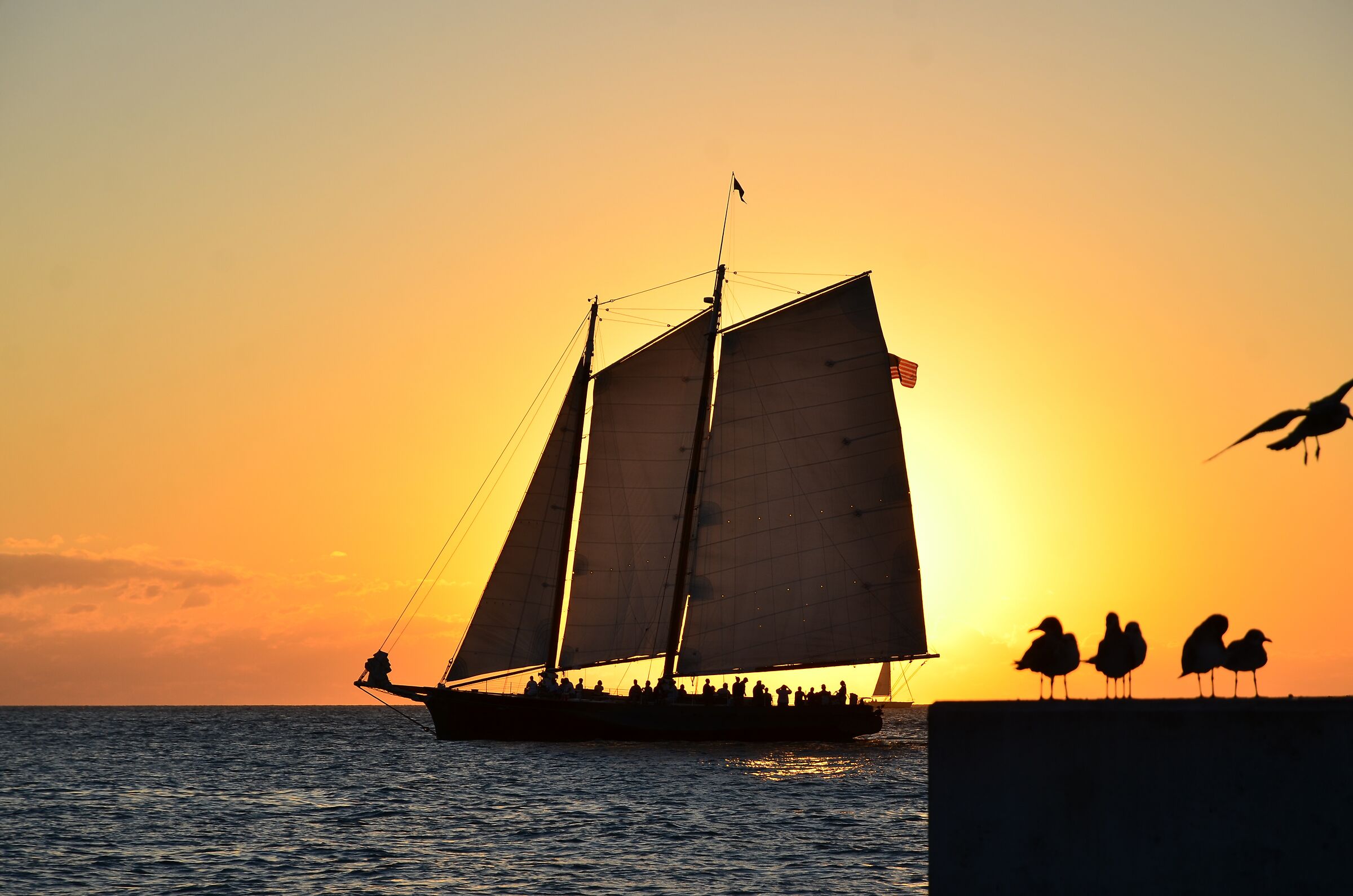 Tutti ad ammirare il tramonto 2