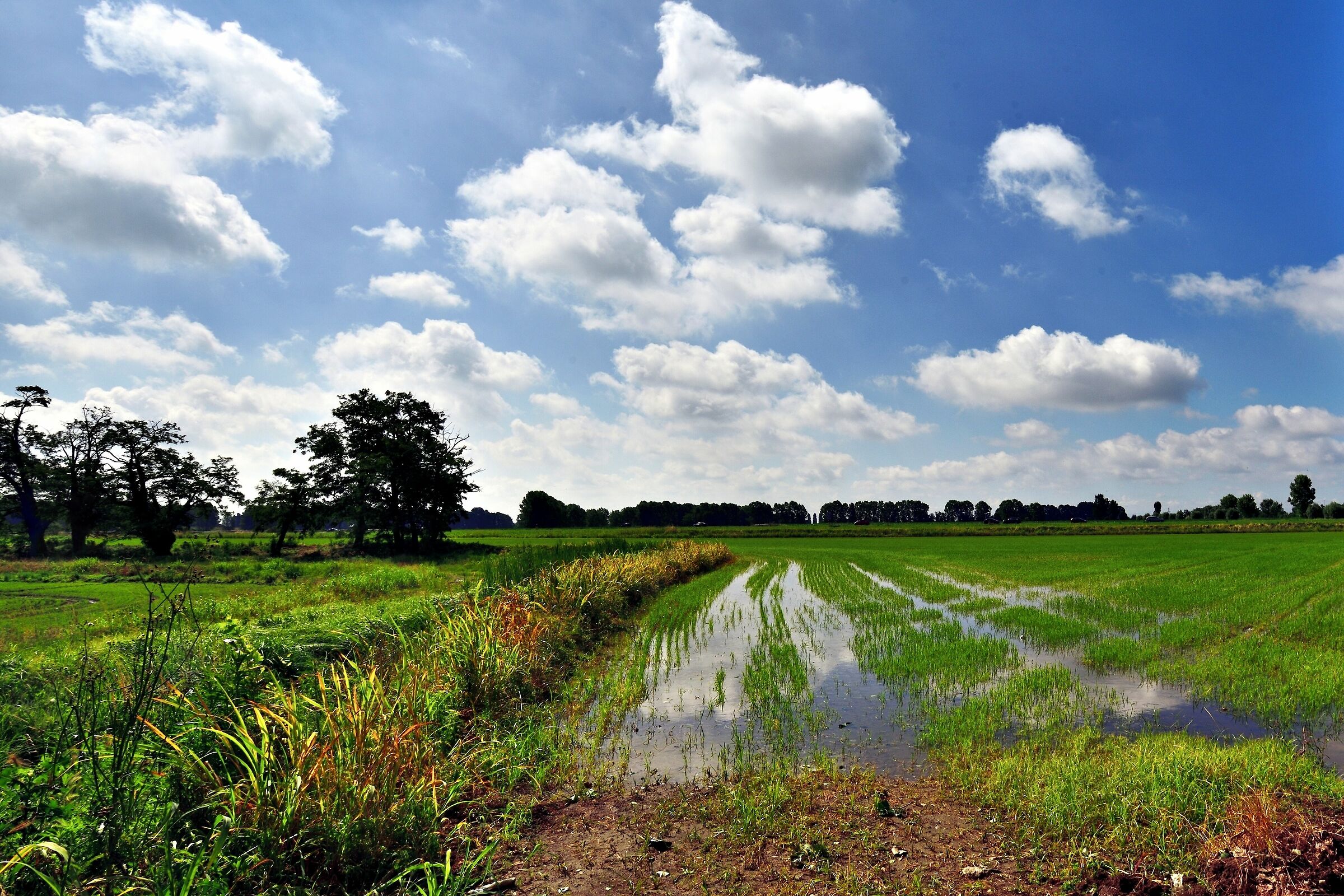 Il ritorno del sereno