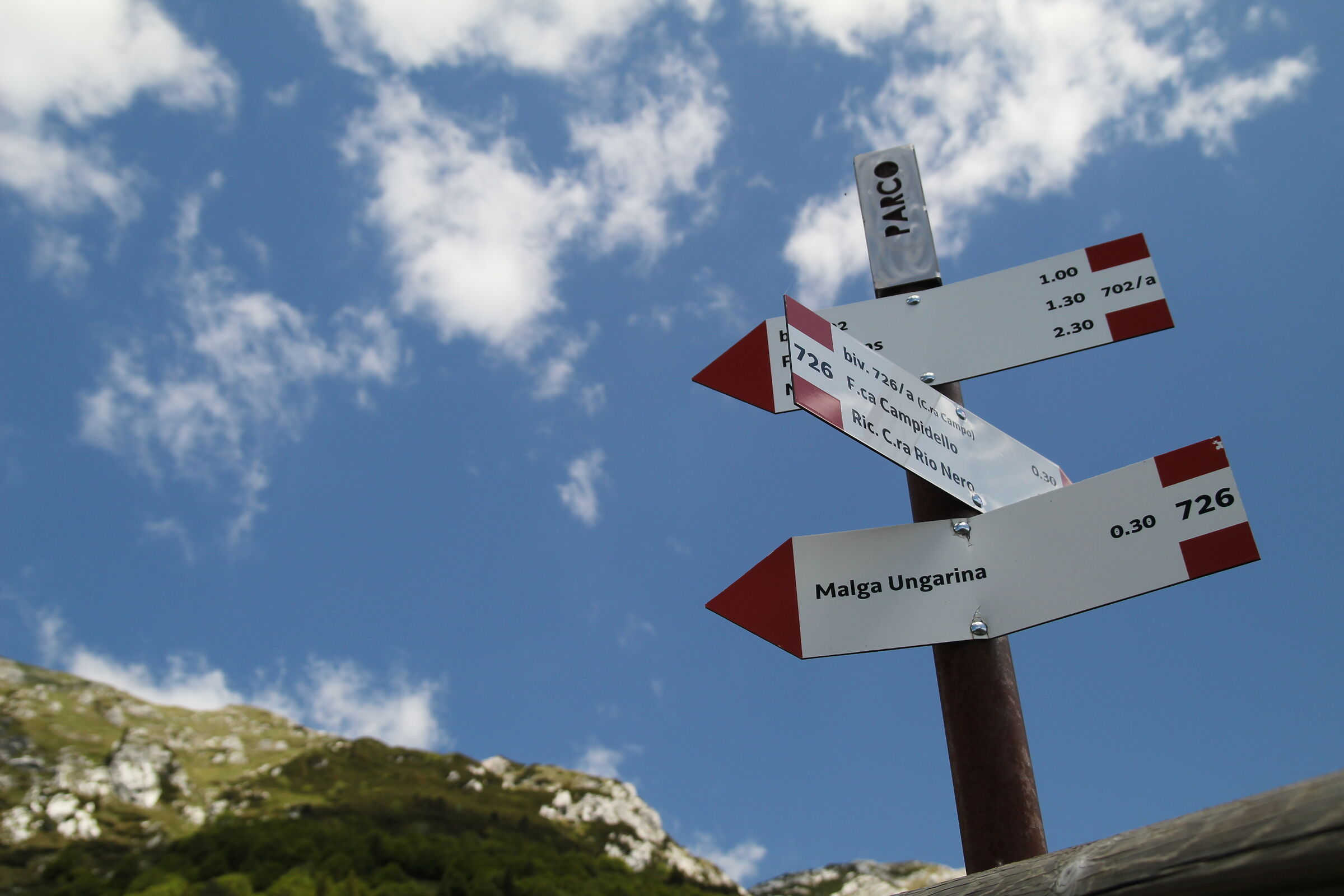 Qual è la direzione?