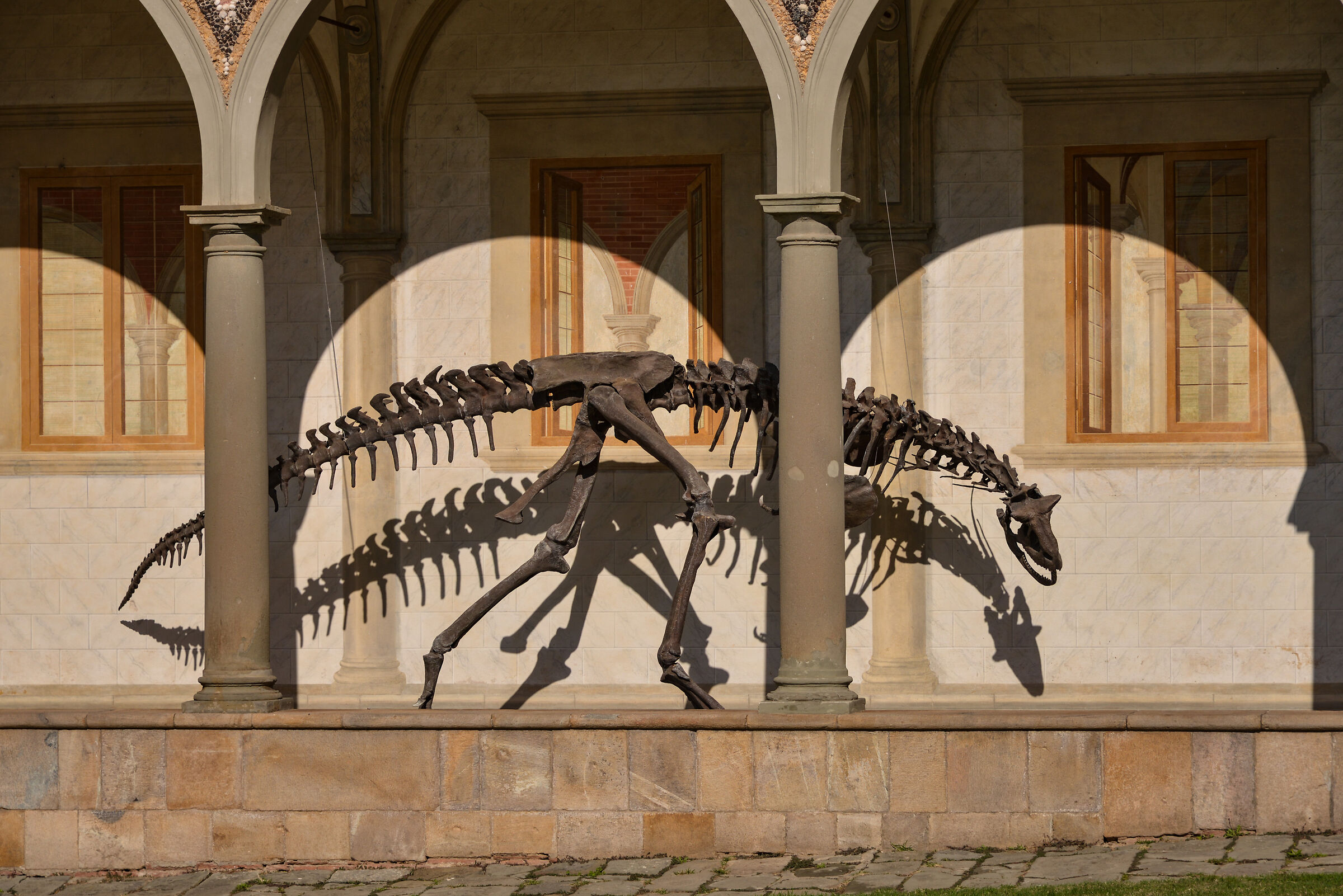 Natural History Museum - Calci-Pis