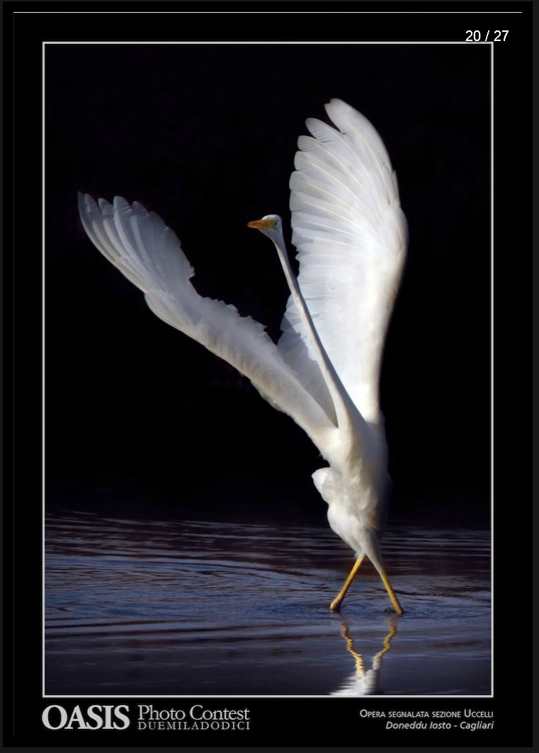 La danza dell'airone