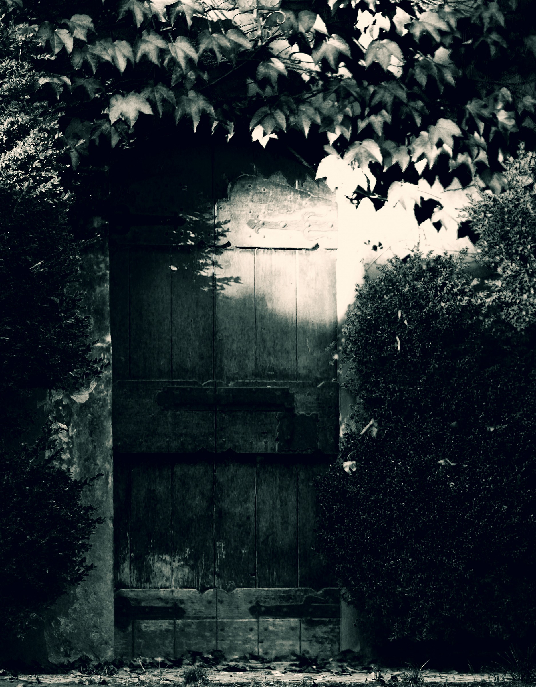 the house in Park B / W